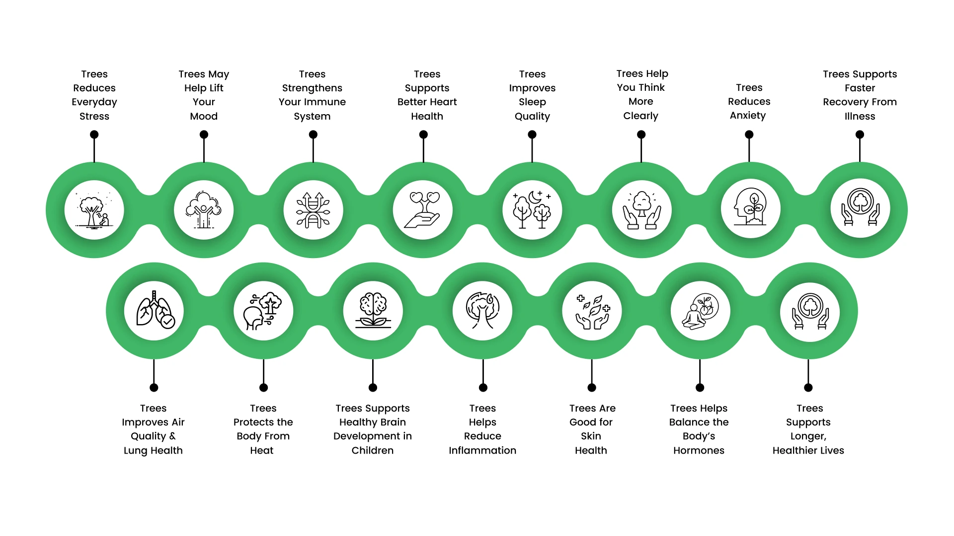 15 Remarkable Ways Trees Act as Medicine in Everyday Life