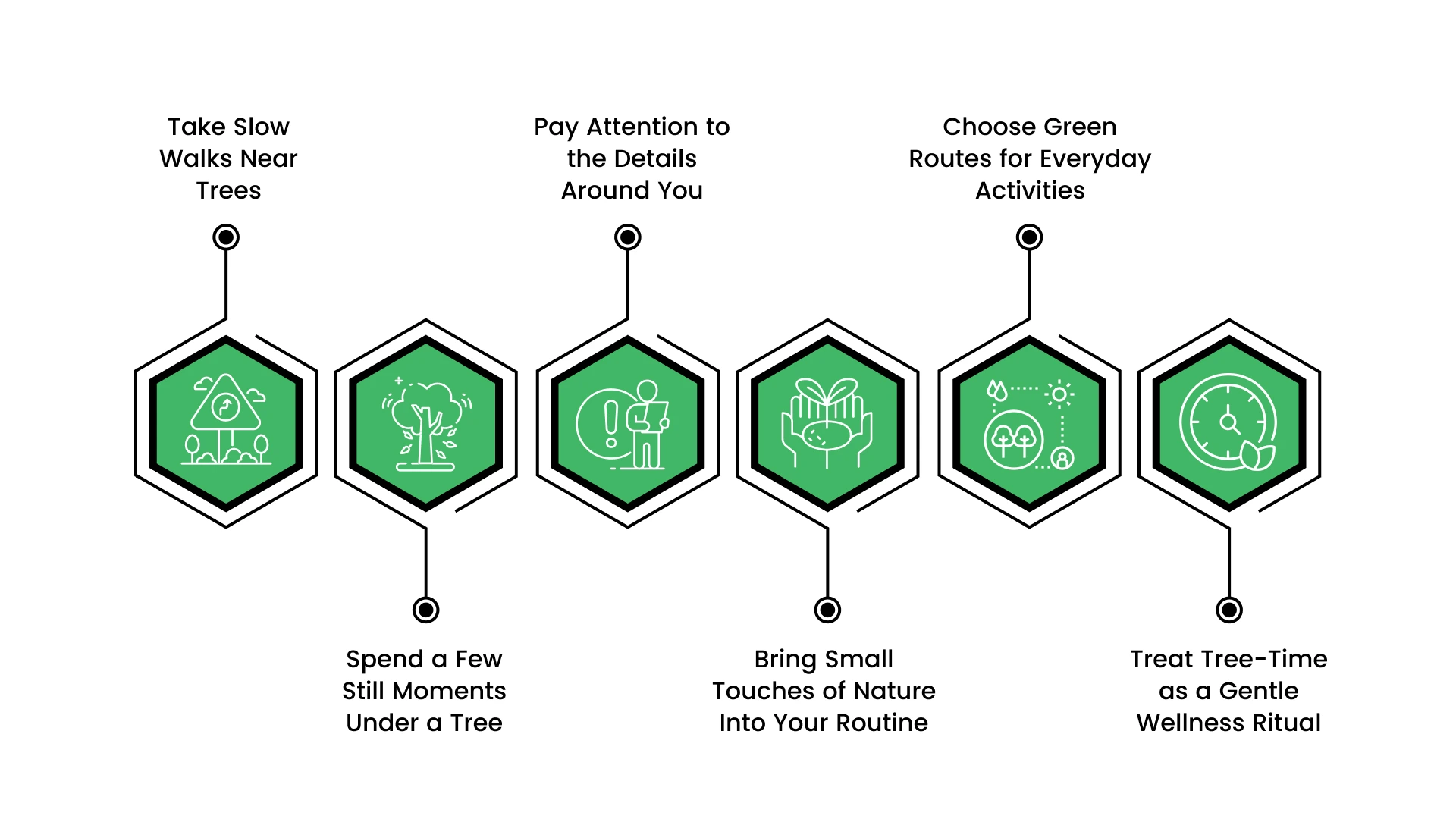 How to Tap Into the Healing Power of Trees