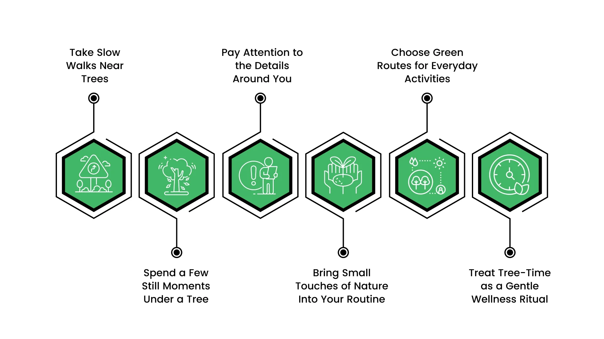 How to Tap Into the Healing Power of Trees