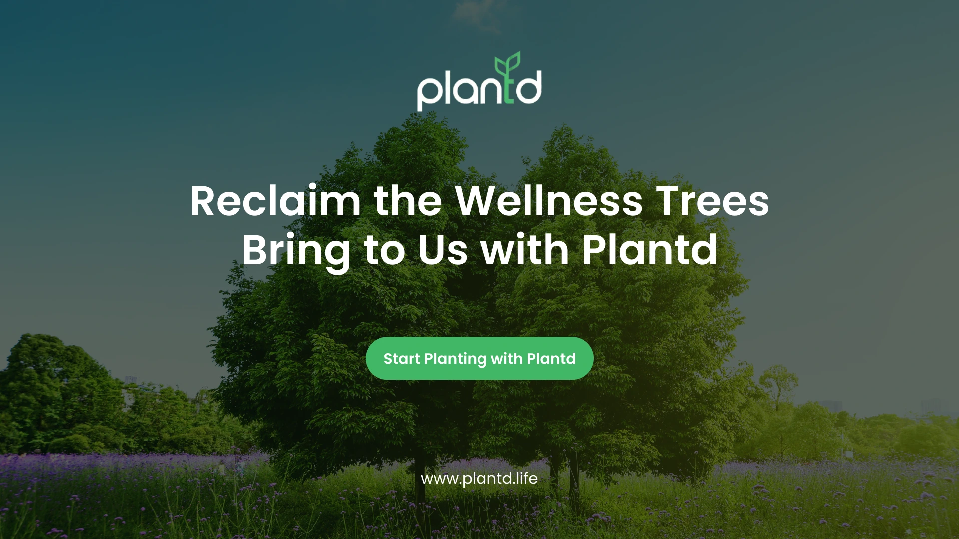 Reclaim the Wellness Trees Bring to Us with Plantd