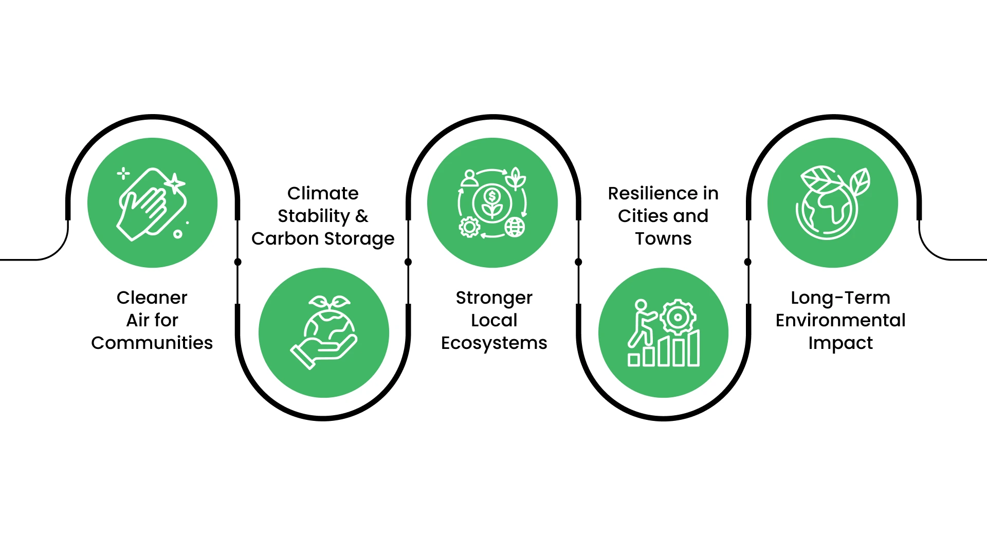 Why Our Future Depends on the Trees We Protect Today