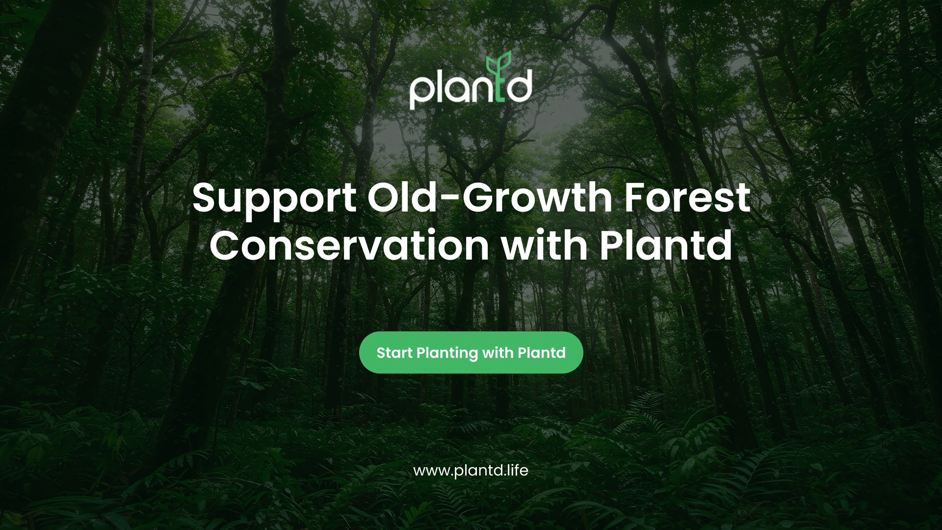 Support Old-Growth Forest Conservation with Plantd