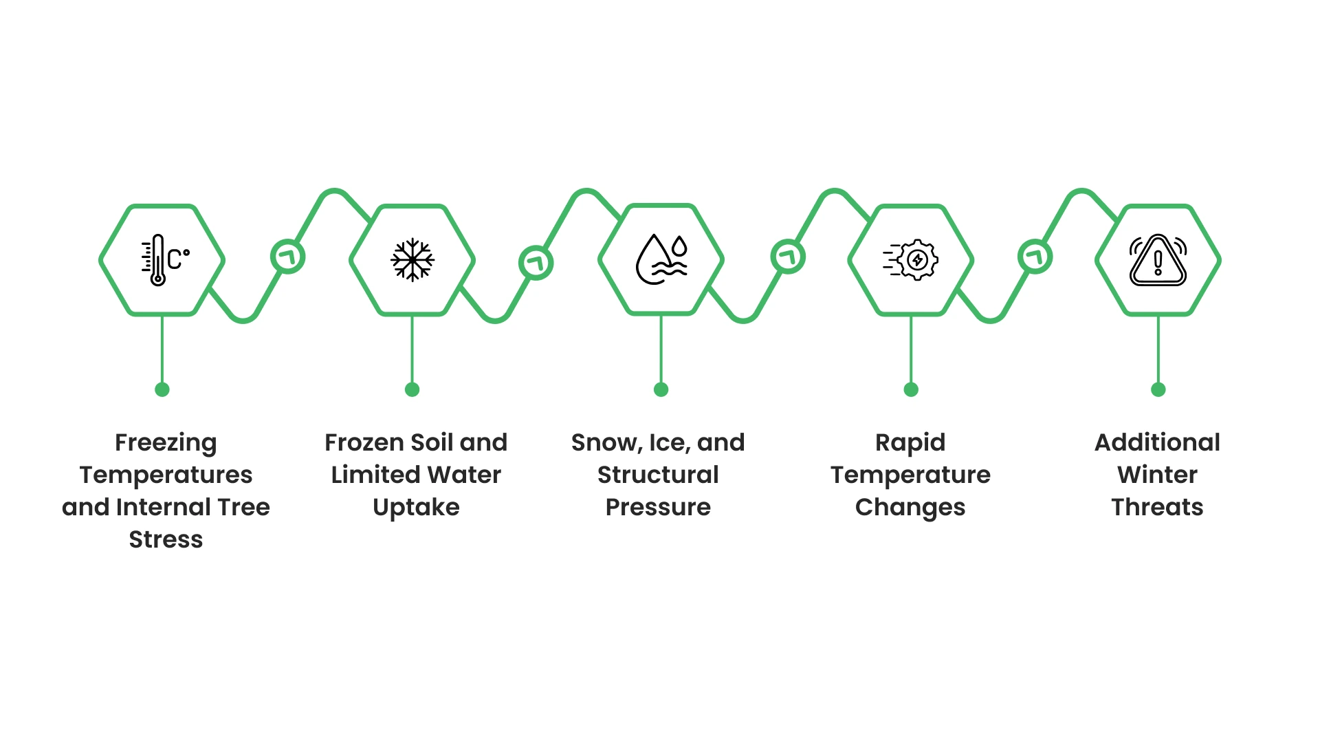 Environmental Stresses Trees Face in Winter