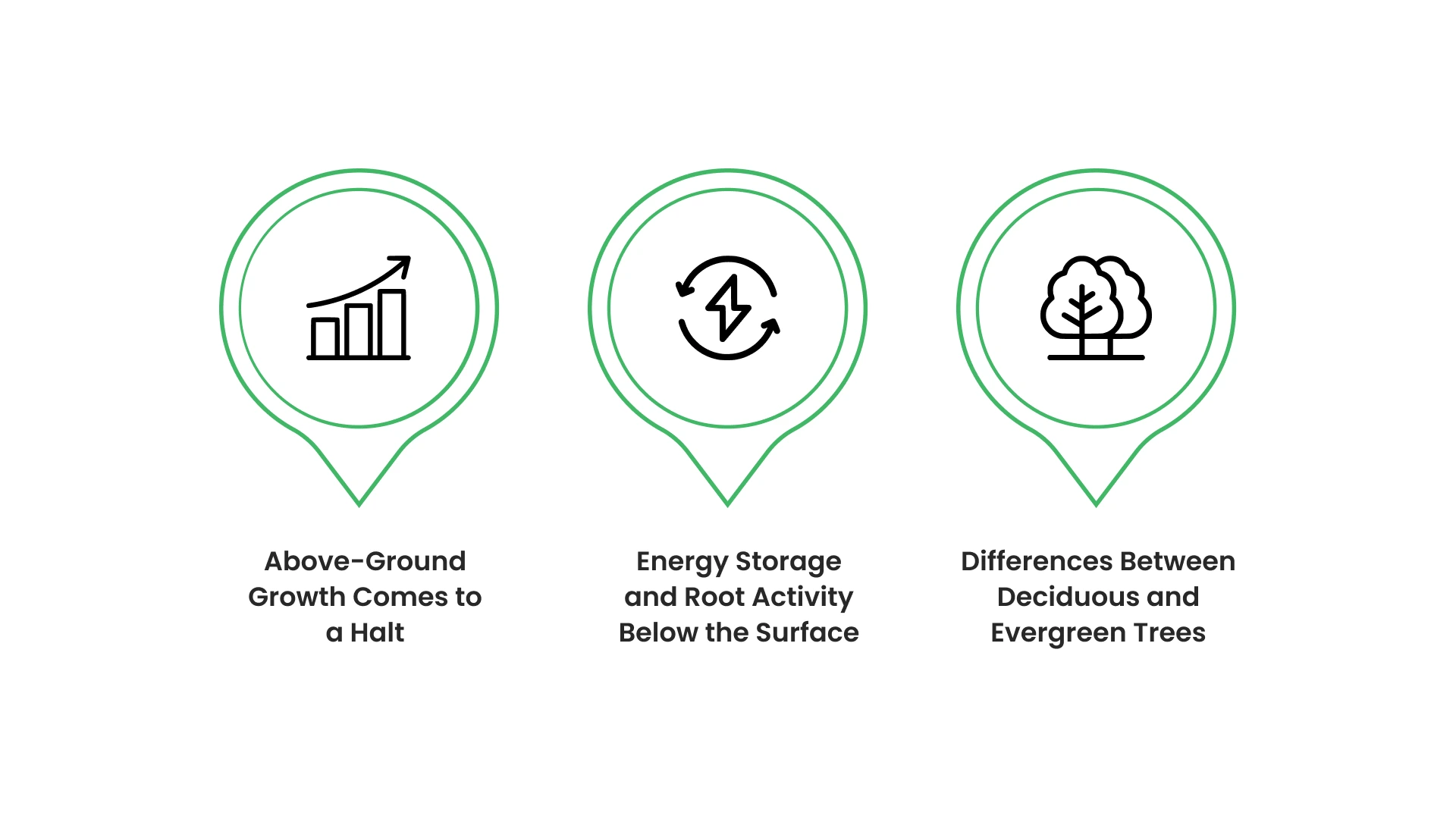 How Winter Weather Affects Tree Growth