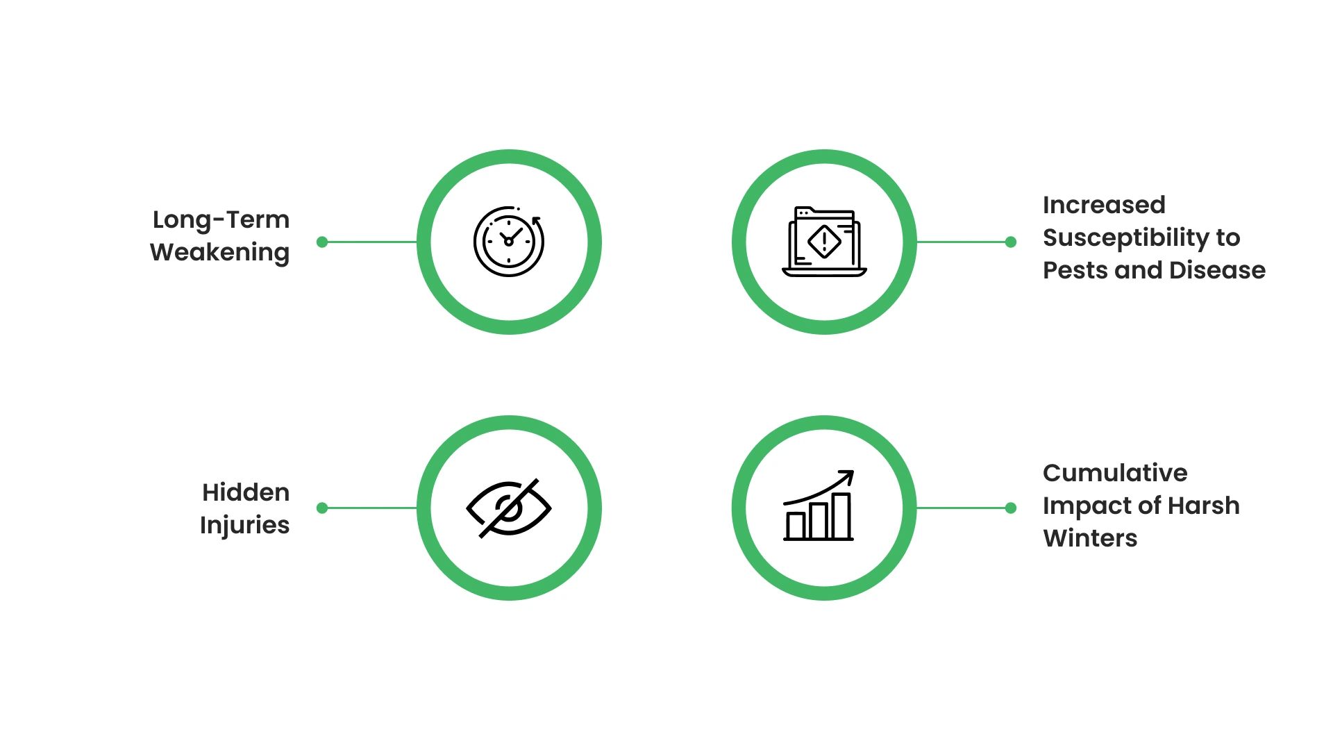 How Winter Conditions Influence Tree Health