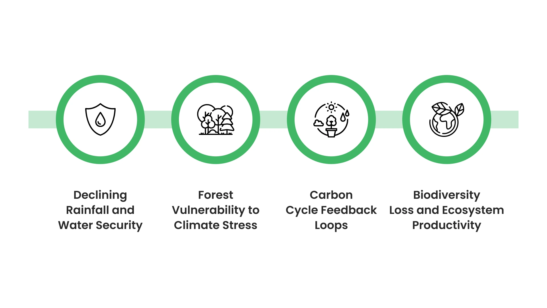 Ecological and Societal Consequences of Forest Degradation