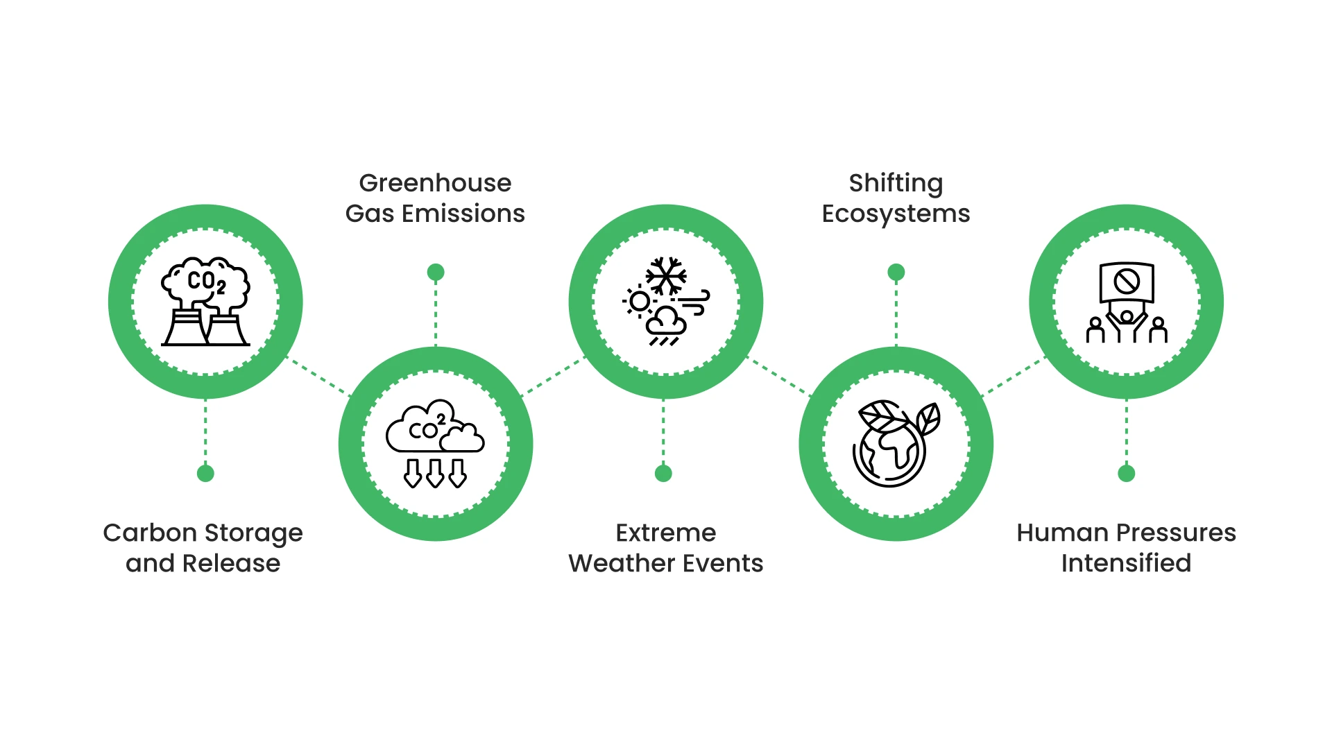 How Deforestation Affects Global Climate Systems