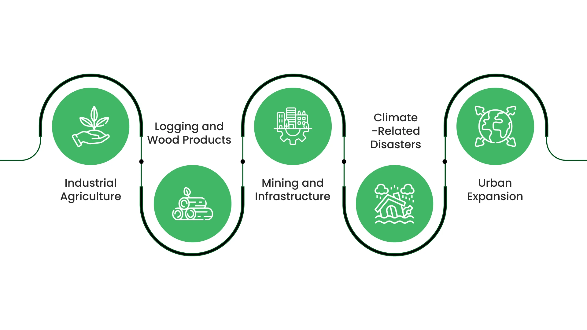 Major Causes of Global Deforestation