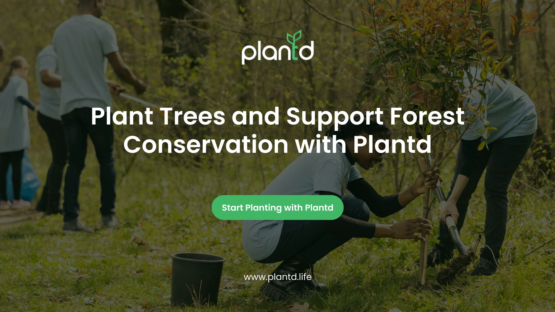Plant Trees and Support Forest Conservation with Plantd