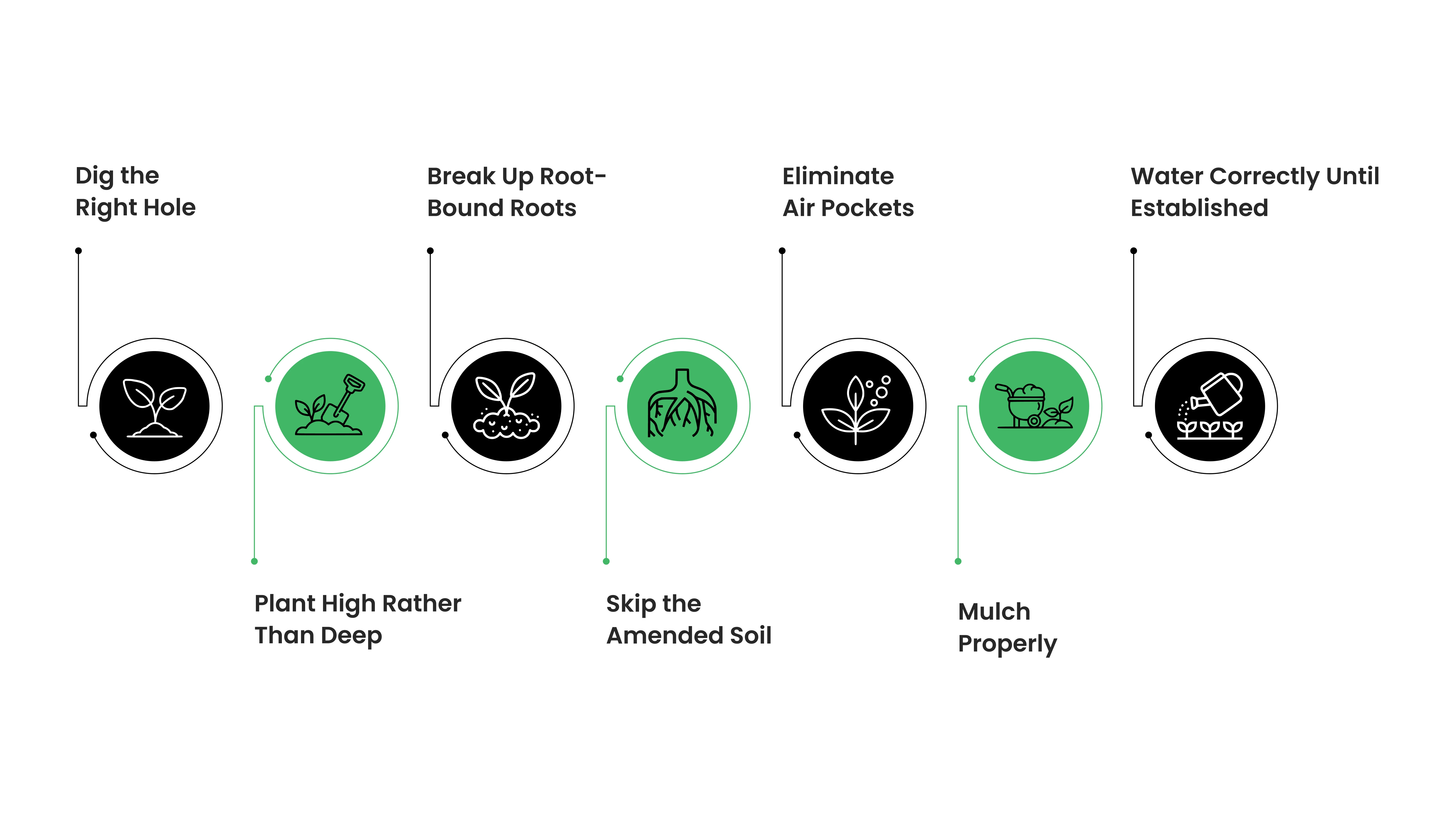 The Seven Steps That Make All the Difference