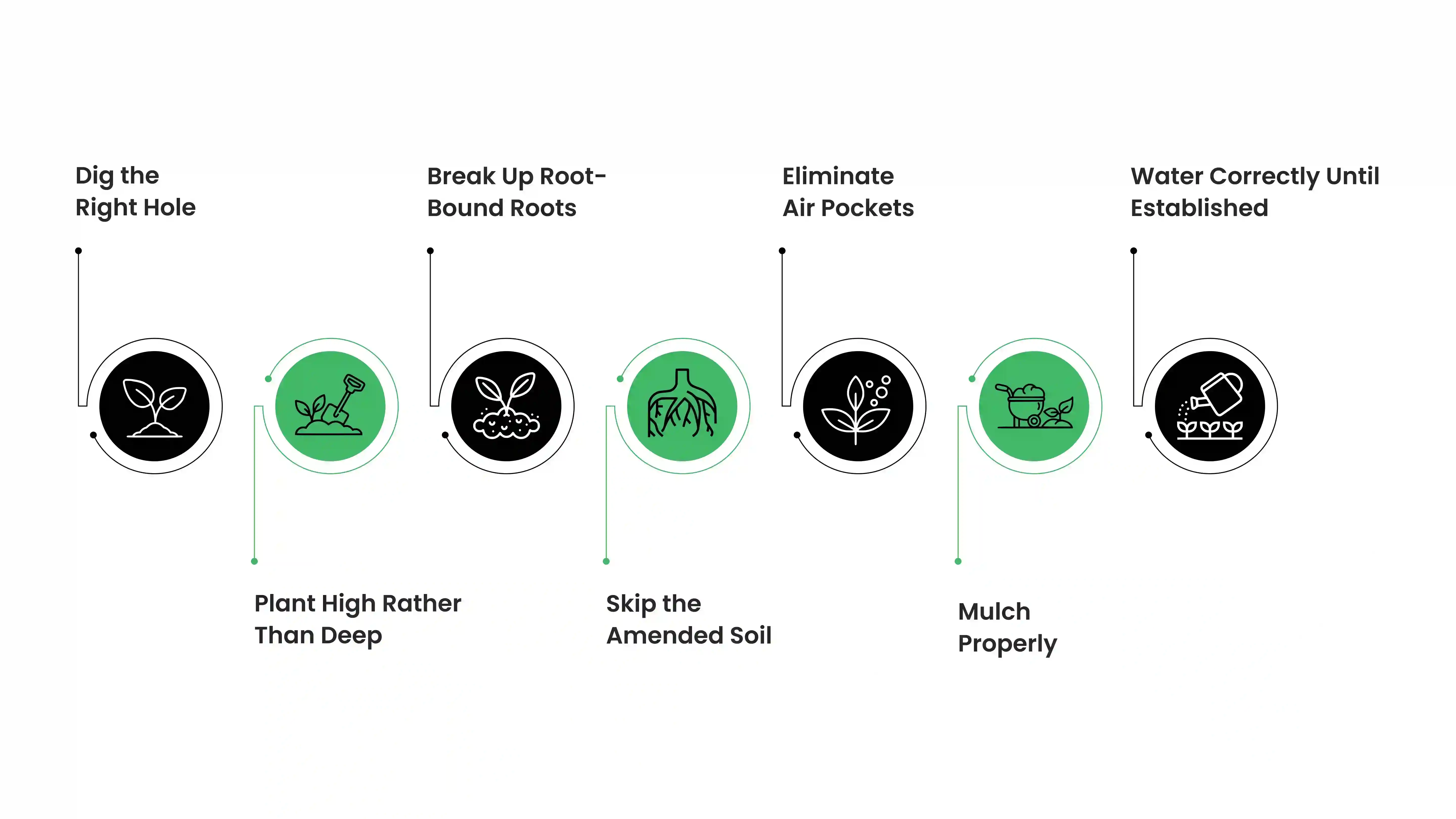 The Seven Steps That Make All the Difference