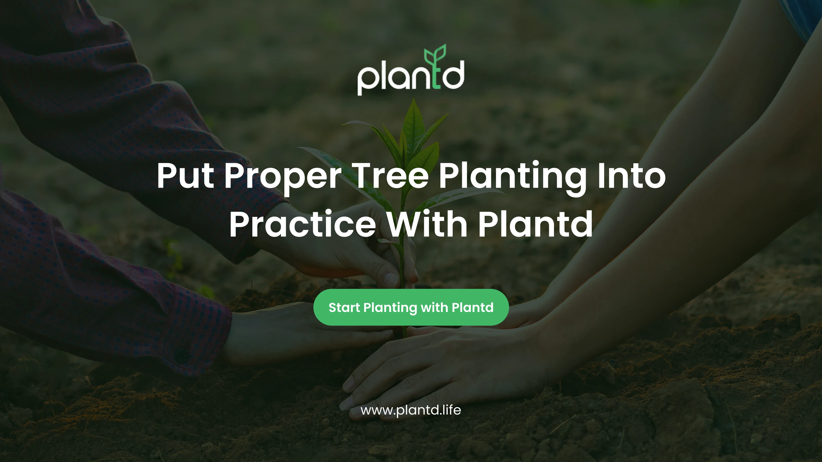 Put Proper Tree Planting Into Practice With Plantd 