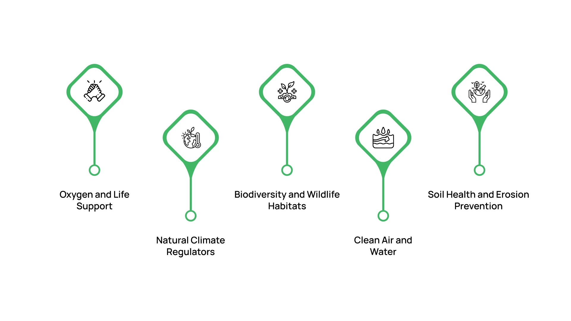 Why Are Trees Important for Us?
