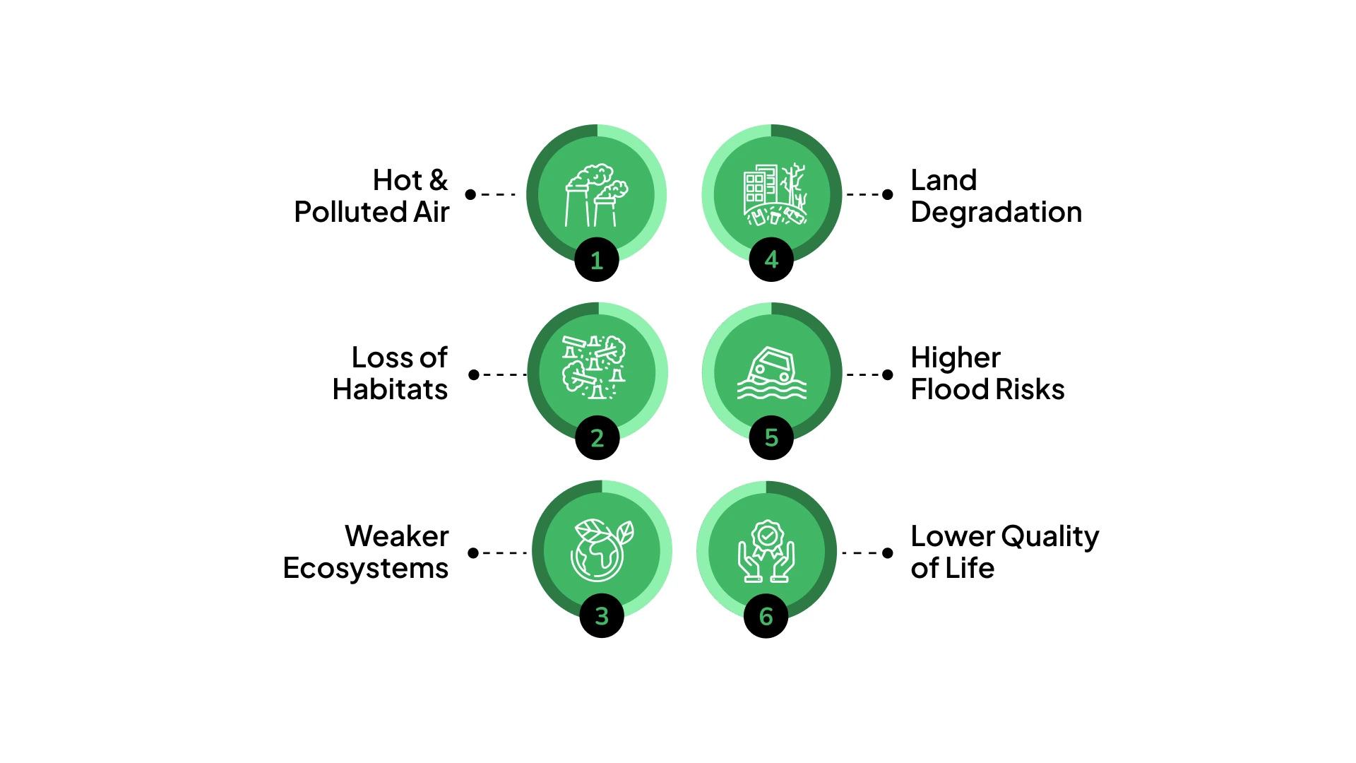 What Happens When Trees Are Lost
