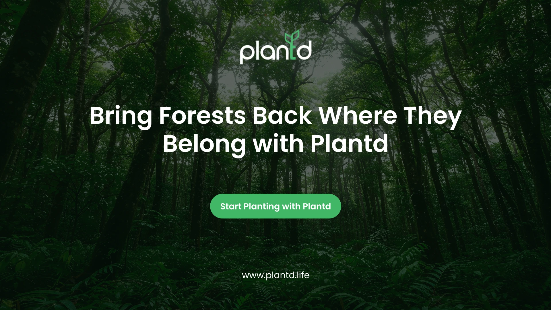 Bring Forests Back Where They Belong with Plantd&nbsp;&nbsp;