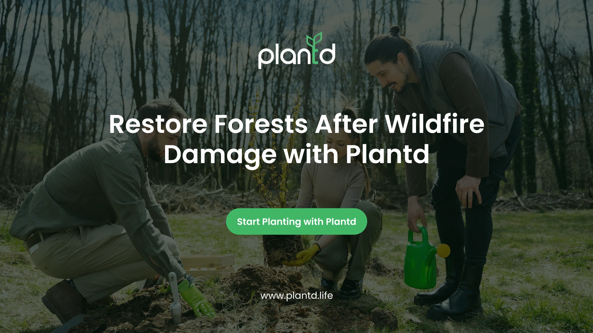 Restore Forests After Wildfire Damage with Plantd