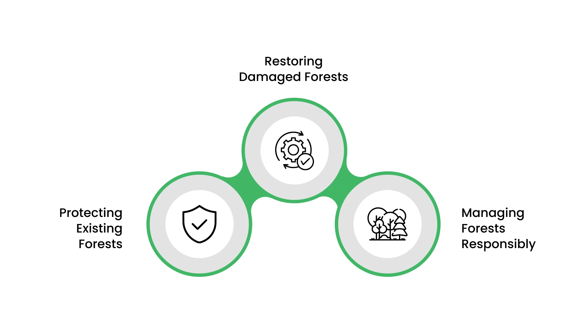 What Forest Conservation Really Means