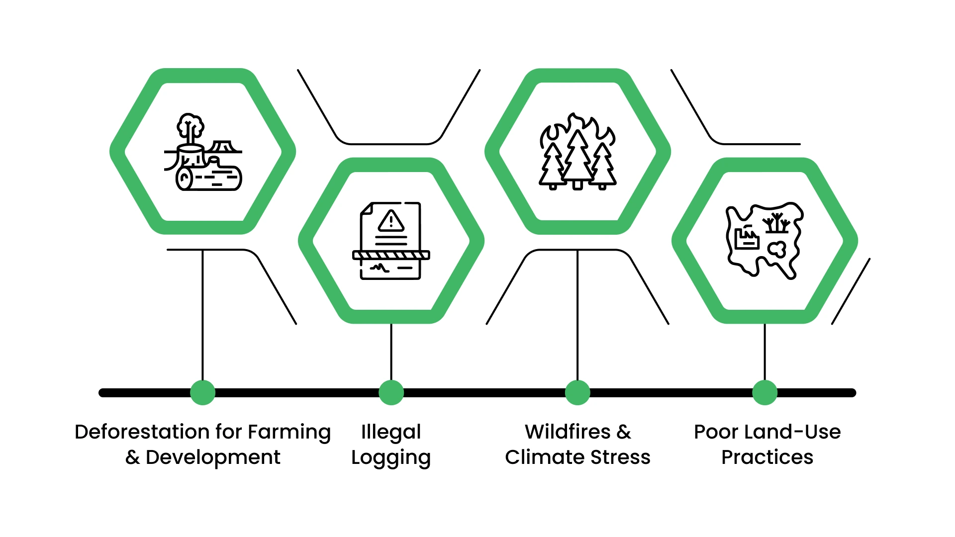 The Biggest Threats to Forests Today