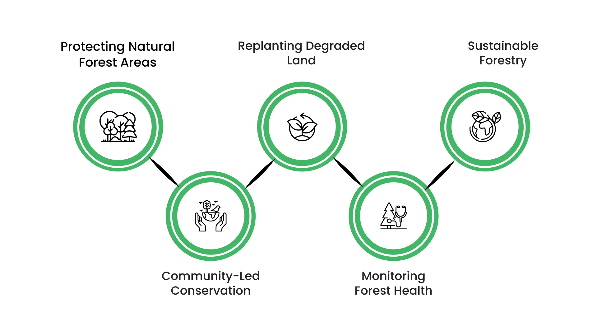 How Does Forest Conservation Work in Practice?