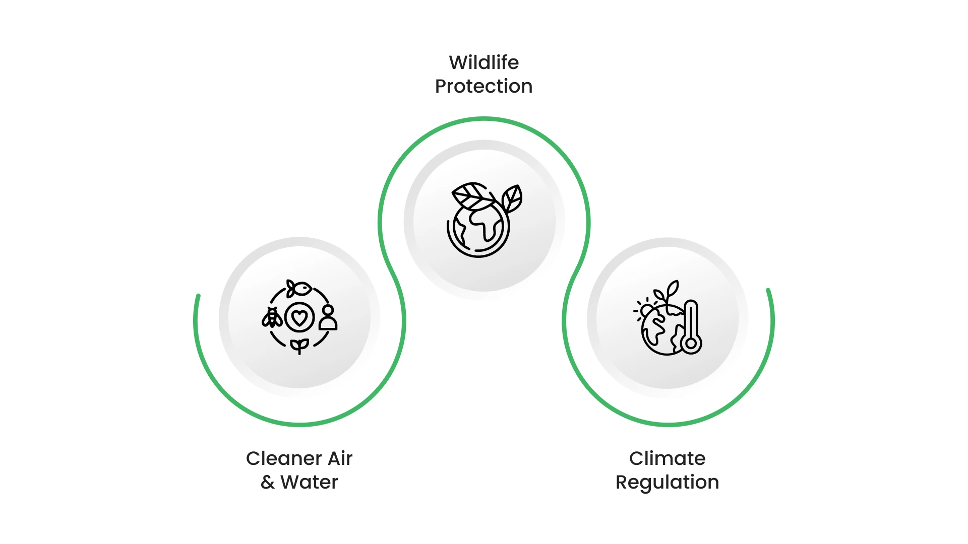 How Forest Conservation Helps People and the Planet?
