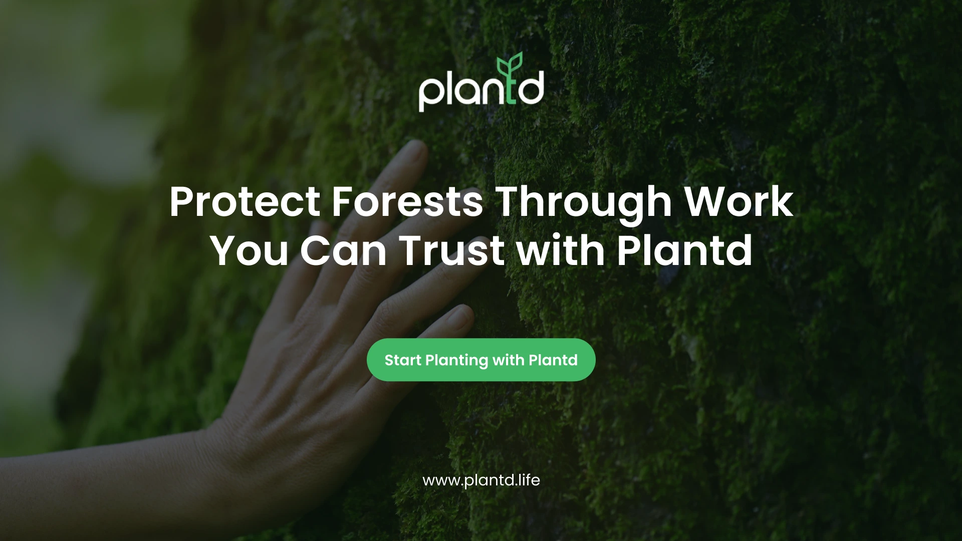 Protect Forests Through Work You Can Trust with Plantd 