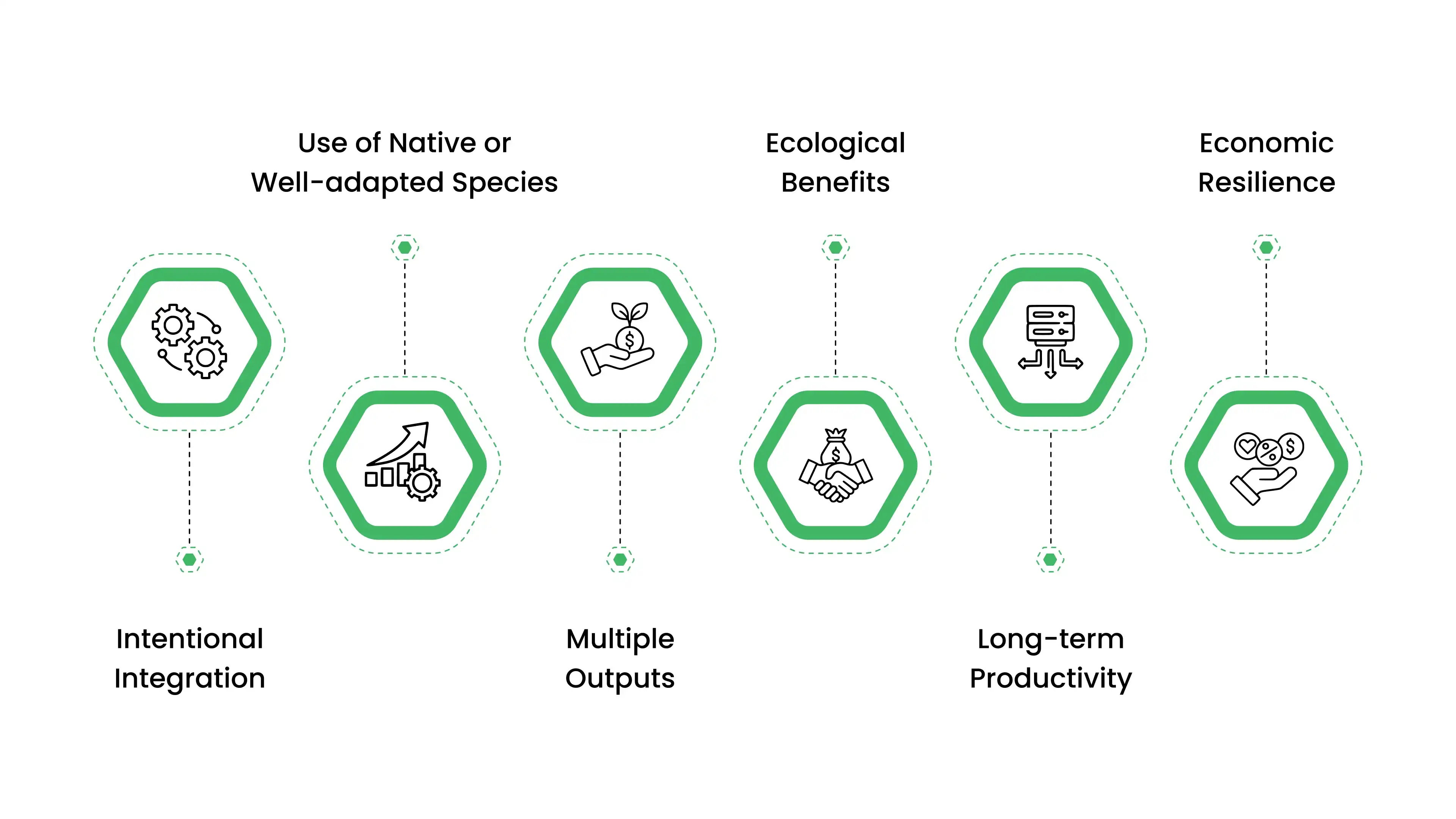 Major Characteristics of Agroforestry
