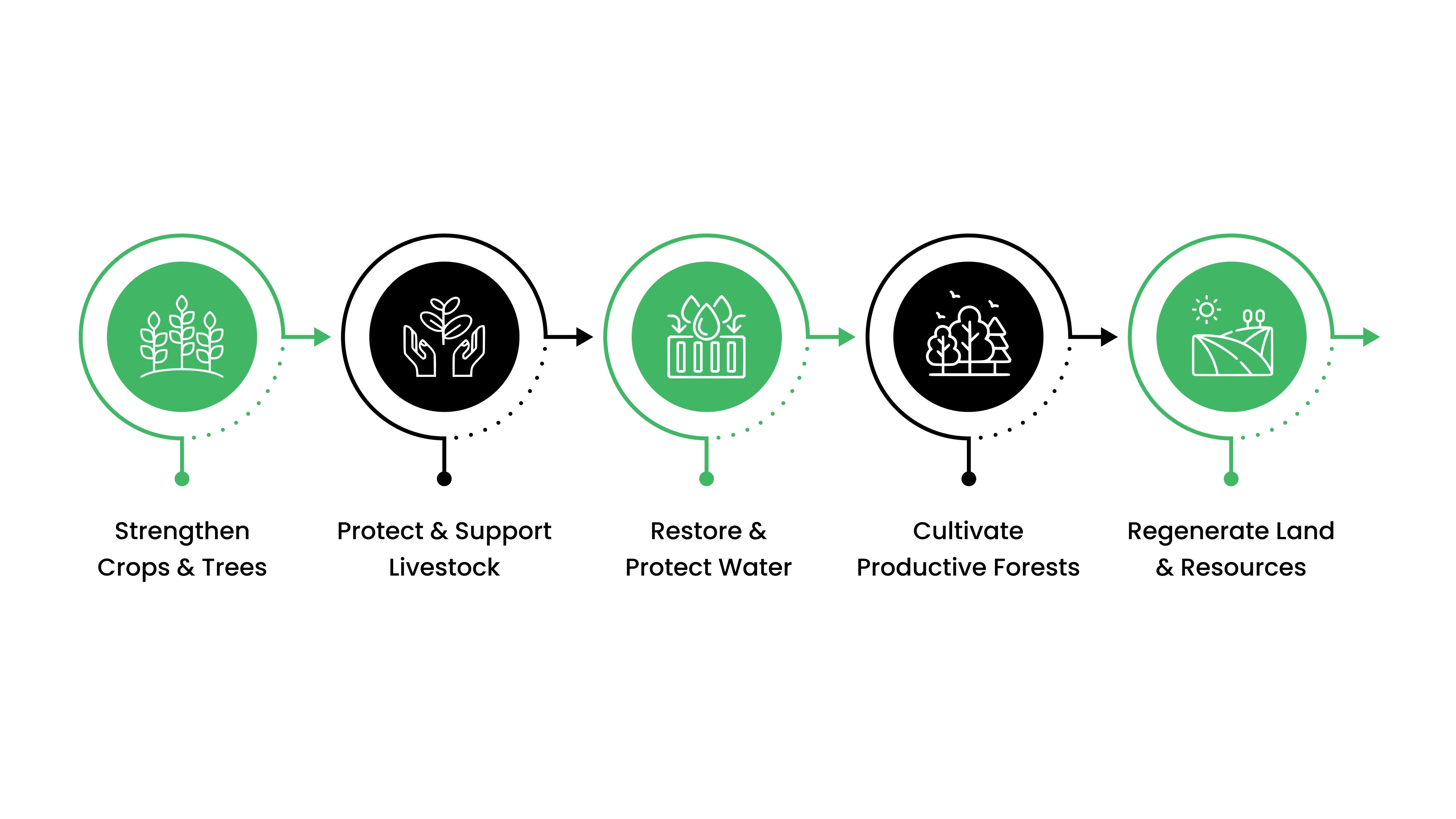 Benefits of Agroforestry Systems