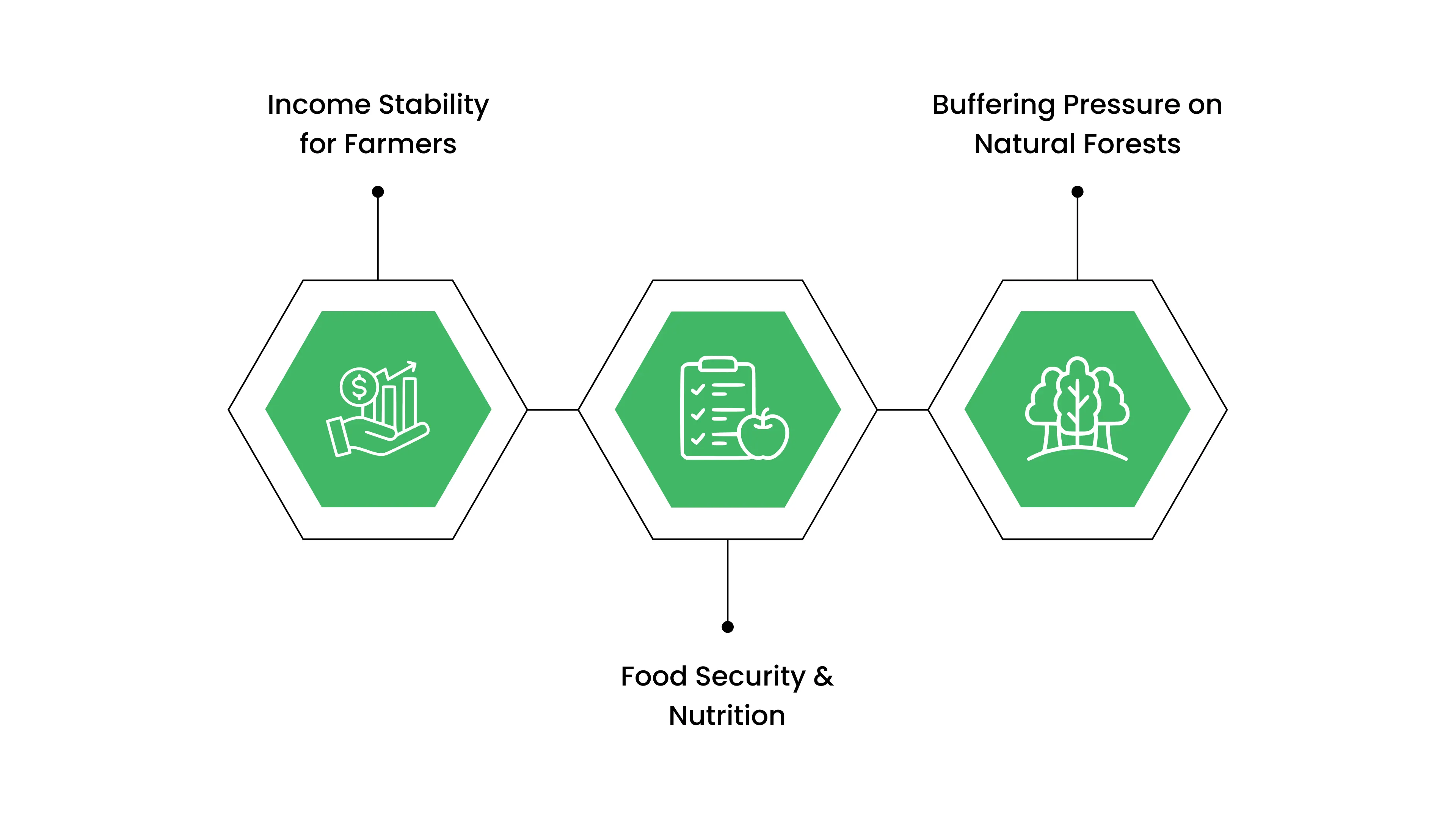 Agroforestry and Community Resilience