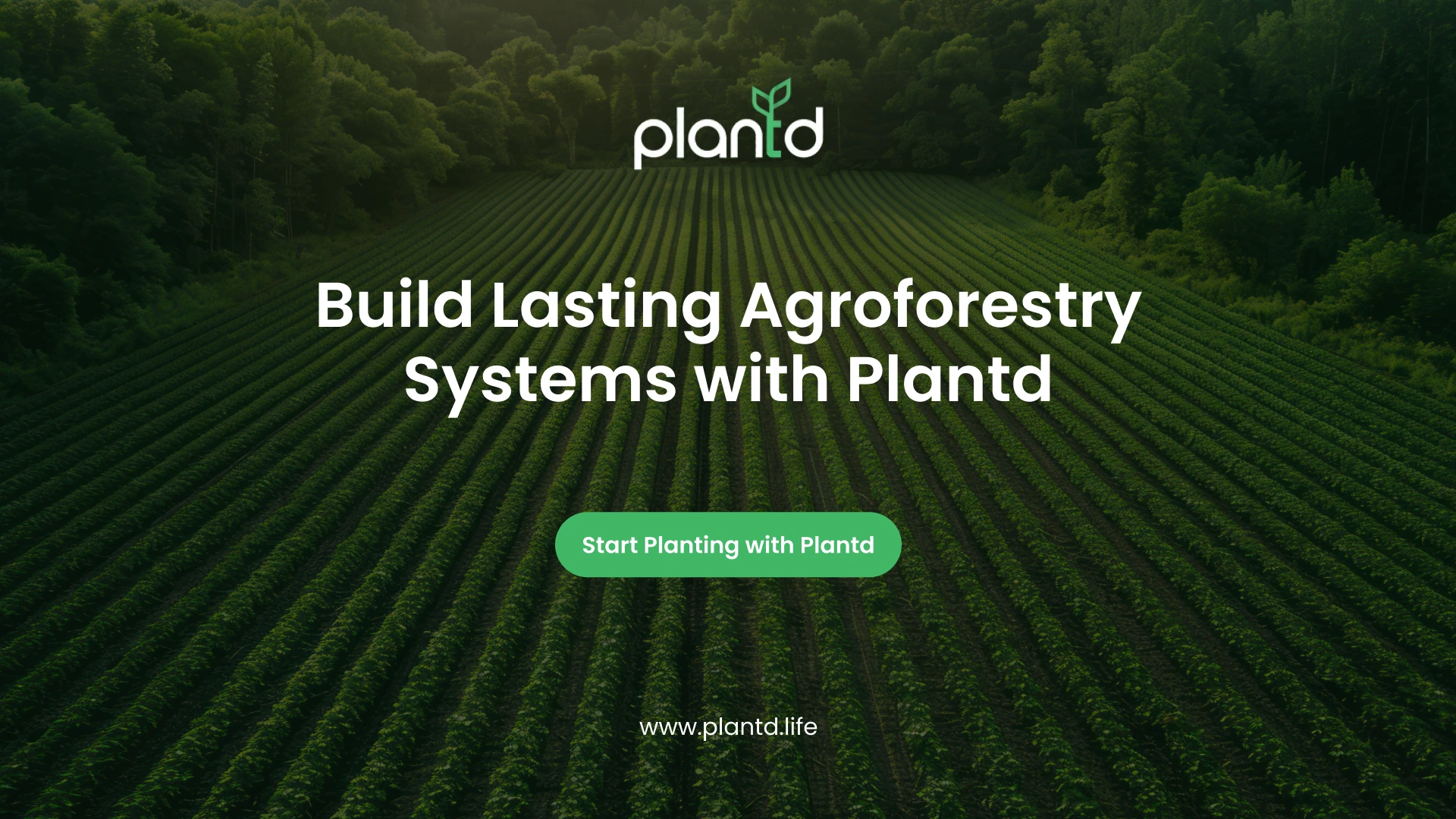 Build Lasting Agroforestry Systems with Plantd