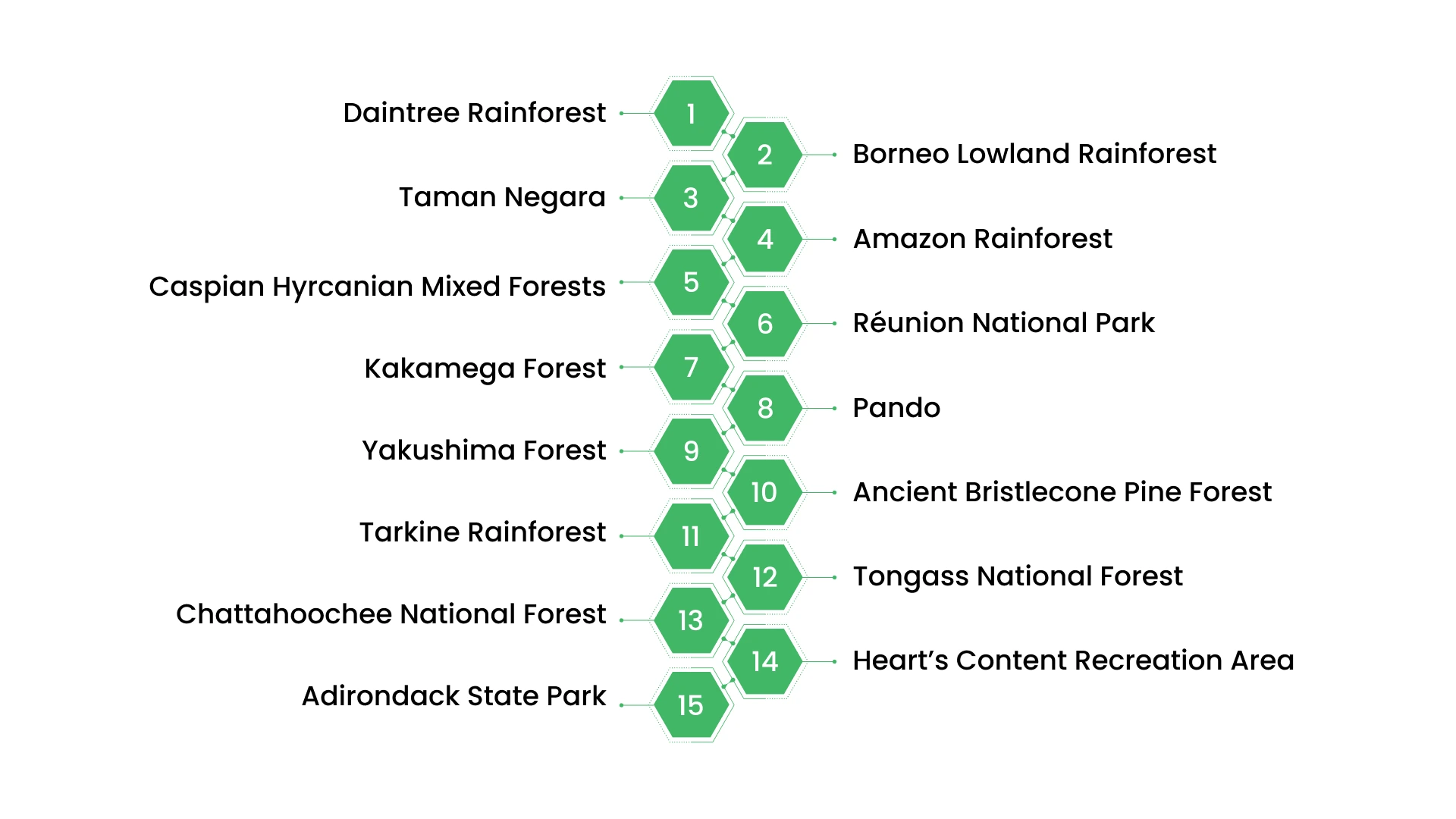 Top 15 Oldest Forest Ecosystems in the World