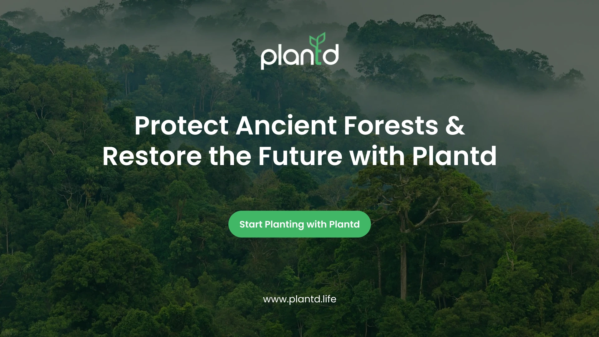 Protect Ancient Forests & Restore the Future with Plantd
