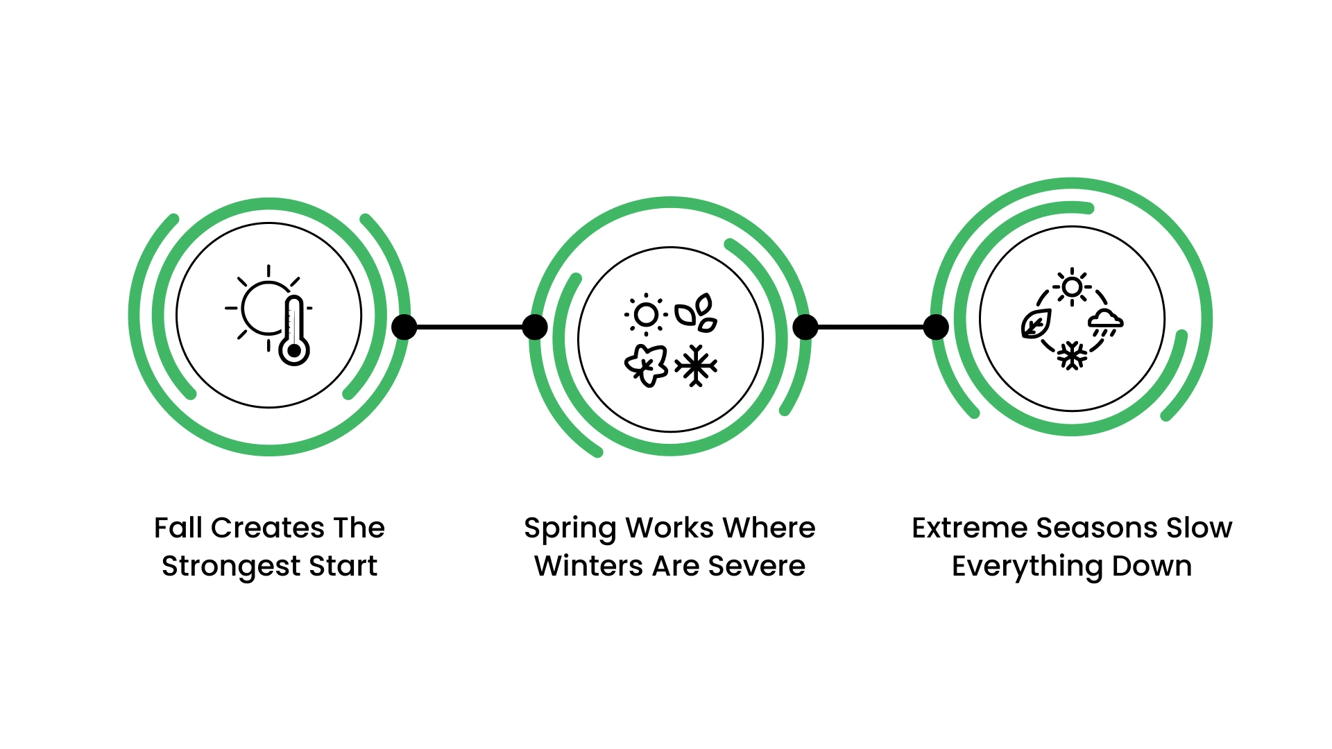 When is The Best Time to Plant Trees?
