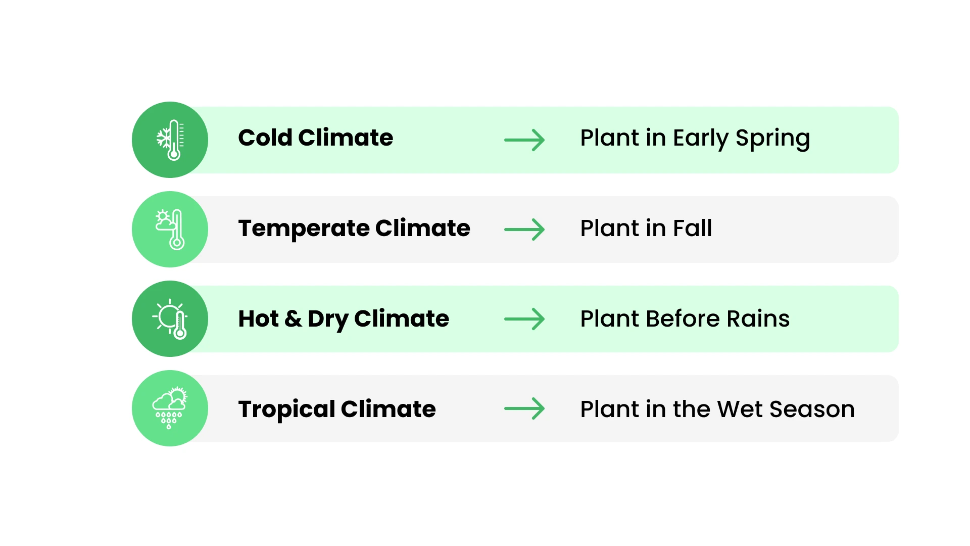 How Your Local Climate Changes the Ideal Planting Season