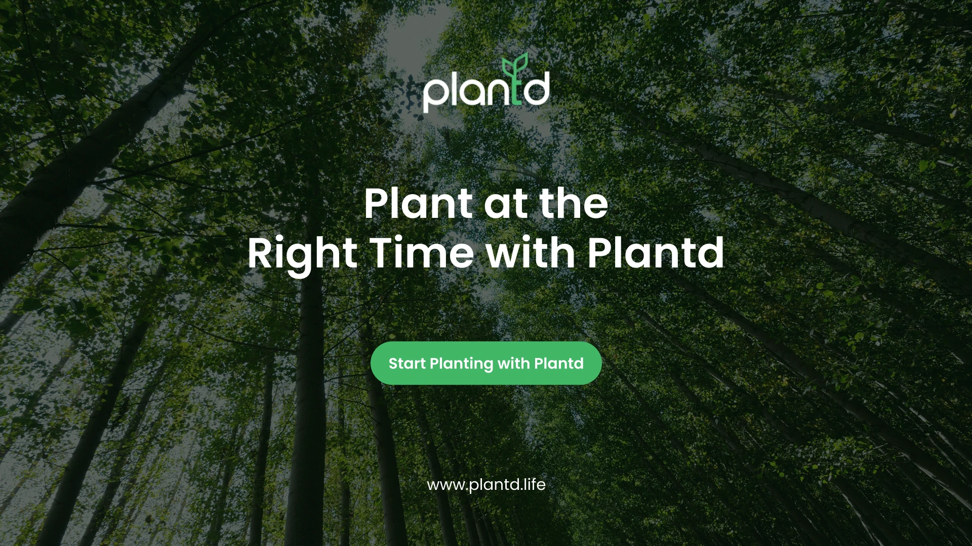 Plant at the Right Time with Plantd