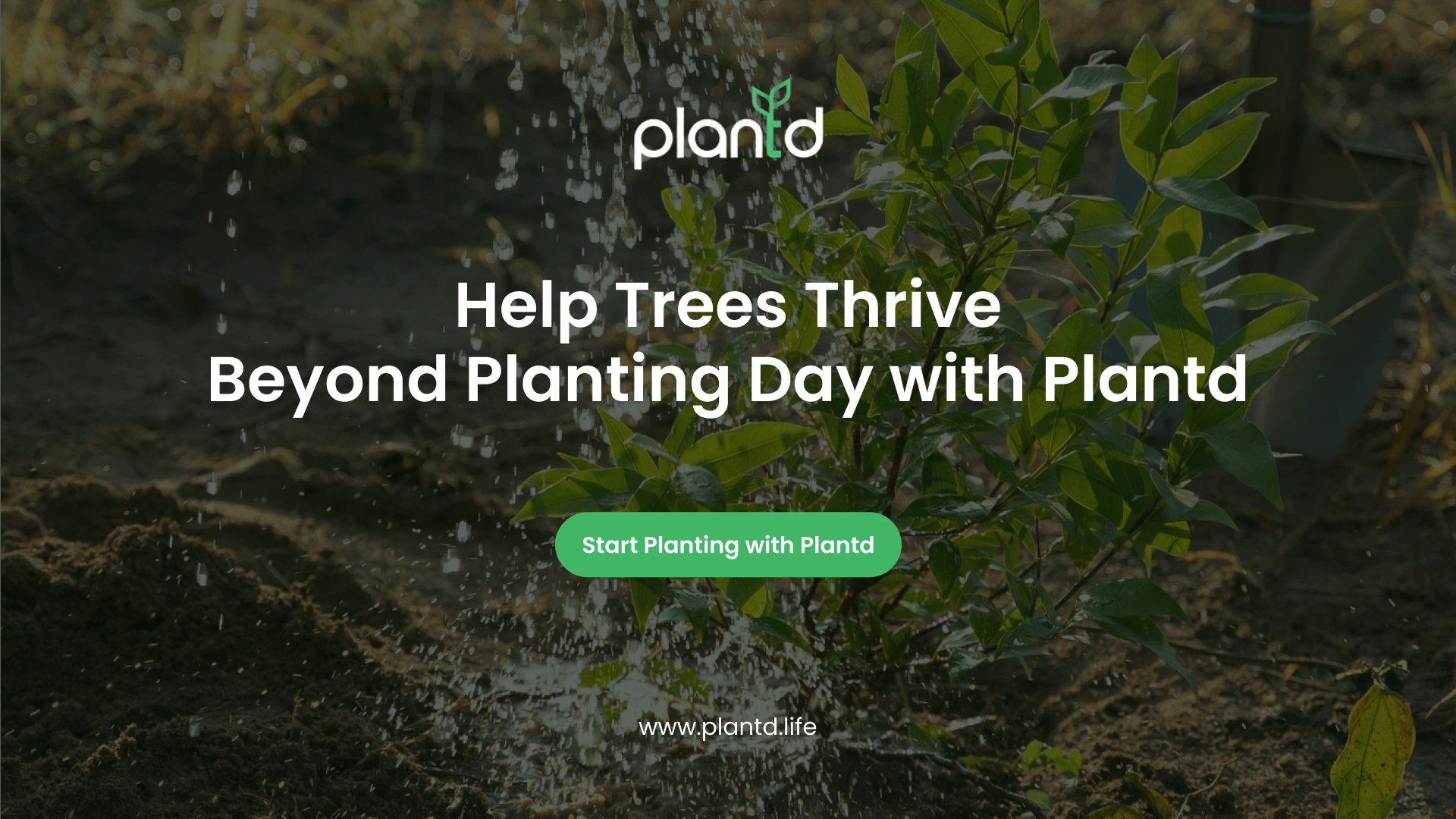 Help Trees Thrive Beyond Planting Day with Plantd