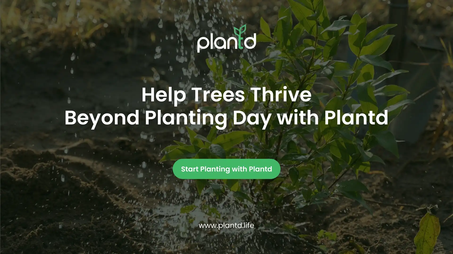 Help Trees Thrive Beyond Planting Day with Plantd