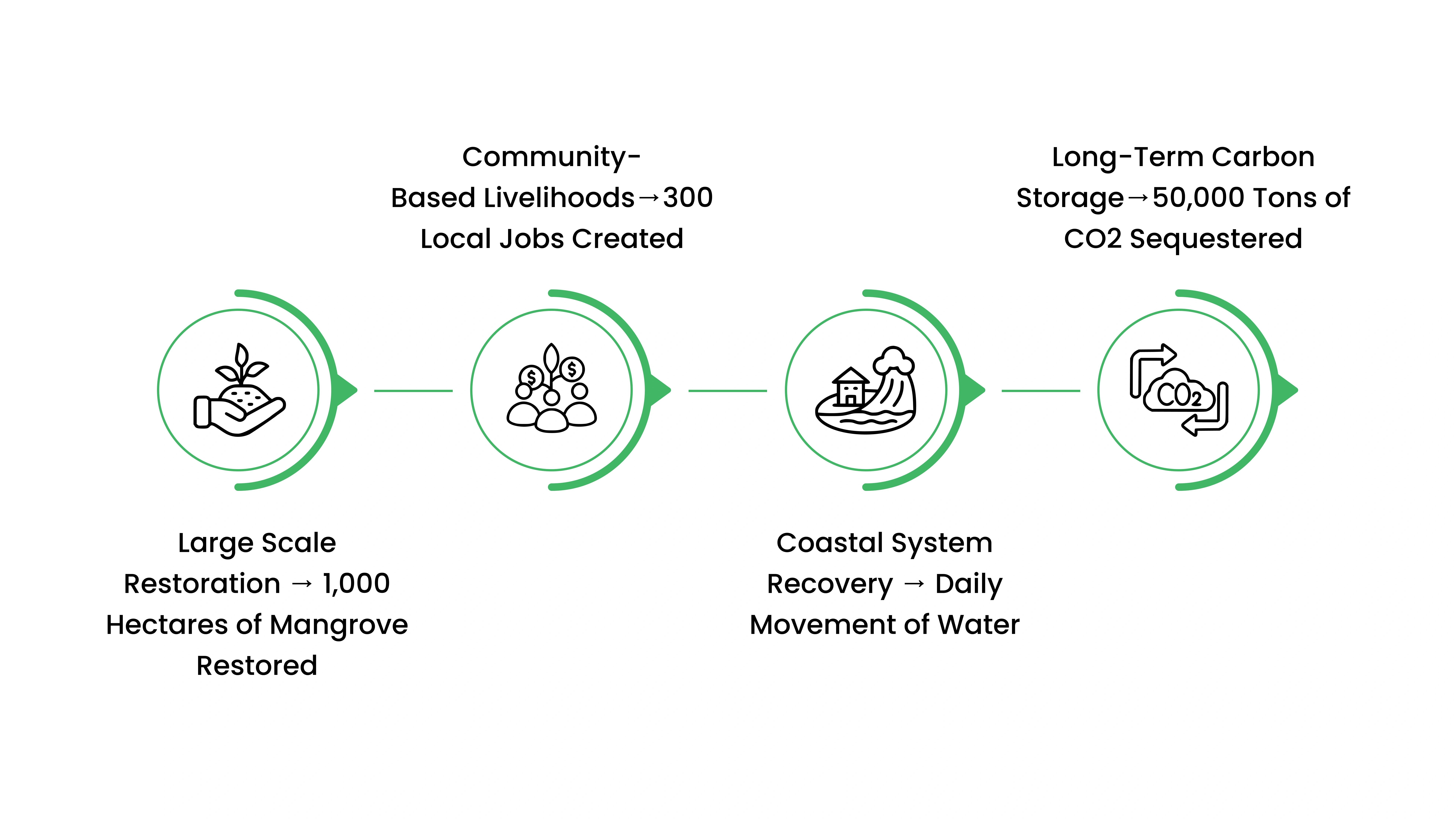 How Plantd Is Restoring Brazil&rsquo;s Mangroves