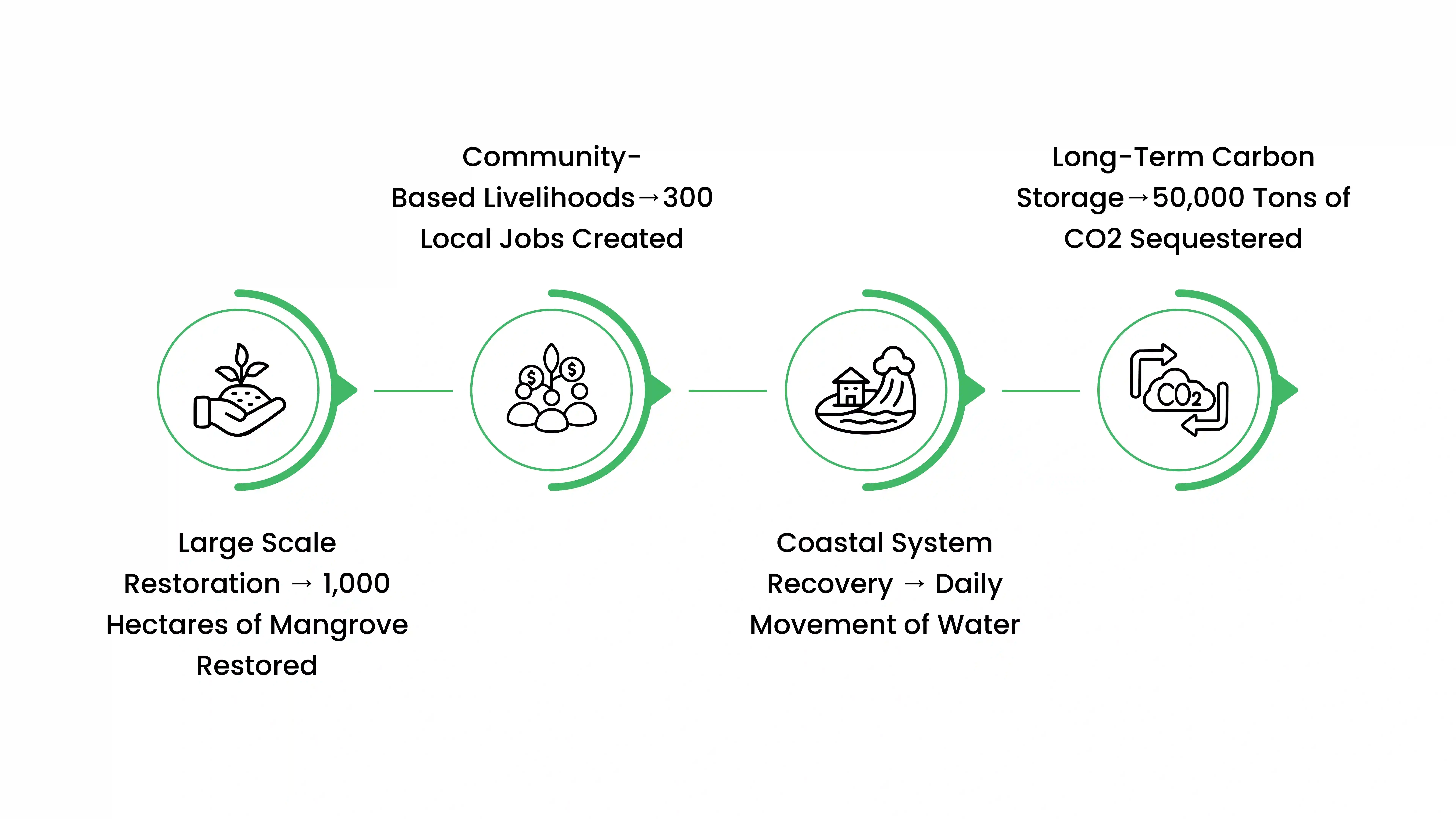 How Plantd Is Restoring Brazil&rsquo;s Mangroves
