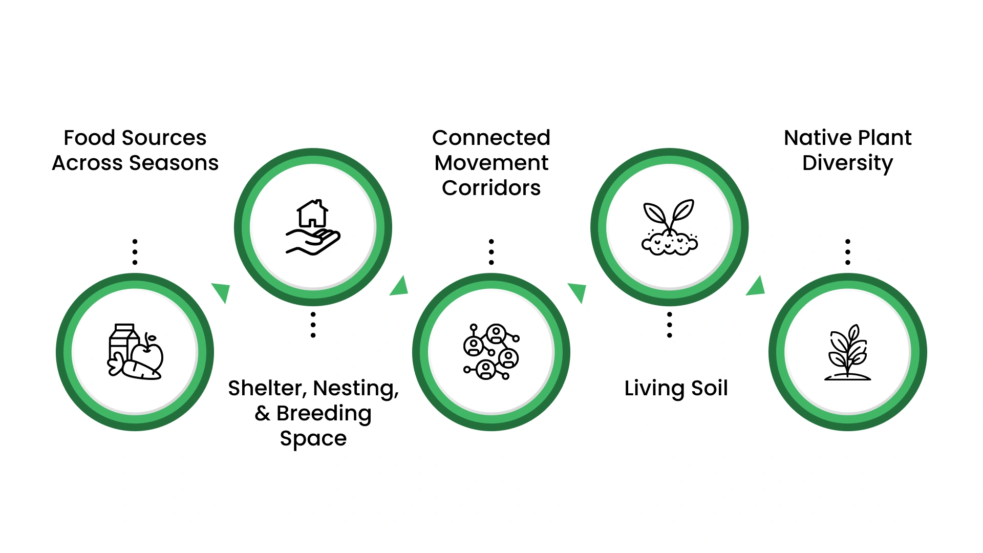 Why Biodiversity Conservation Depends On Habitat Quality