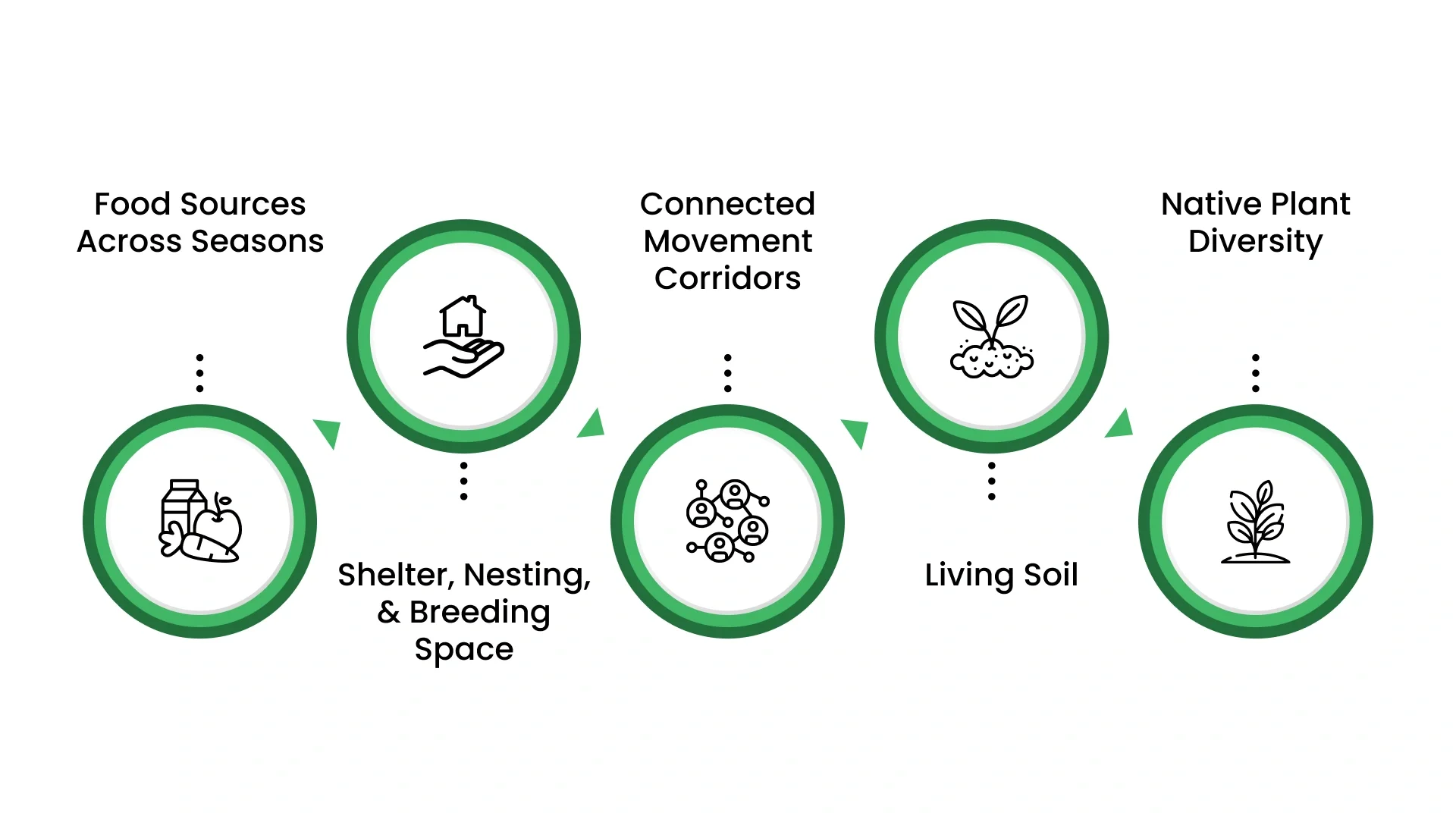 Why Biodiversity Conservation Depends On Habitat Quality