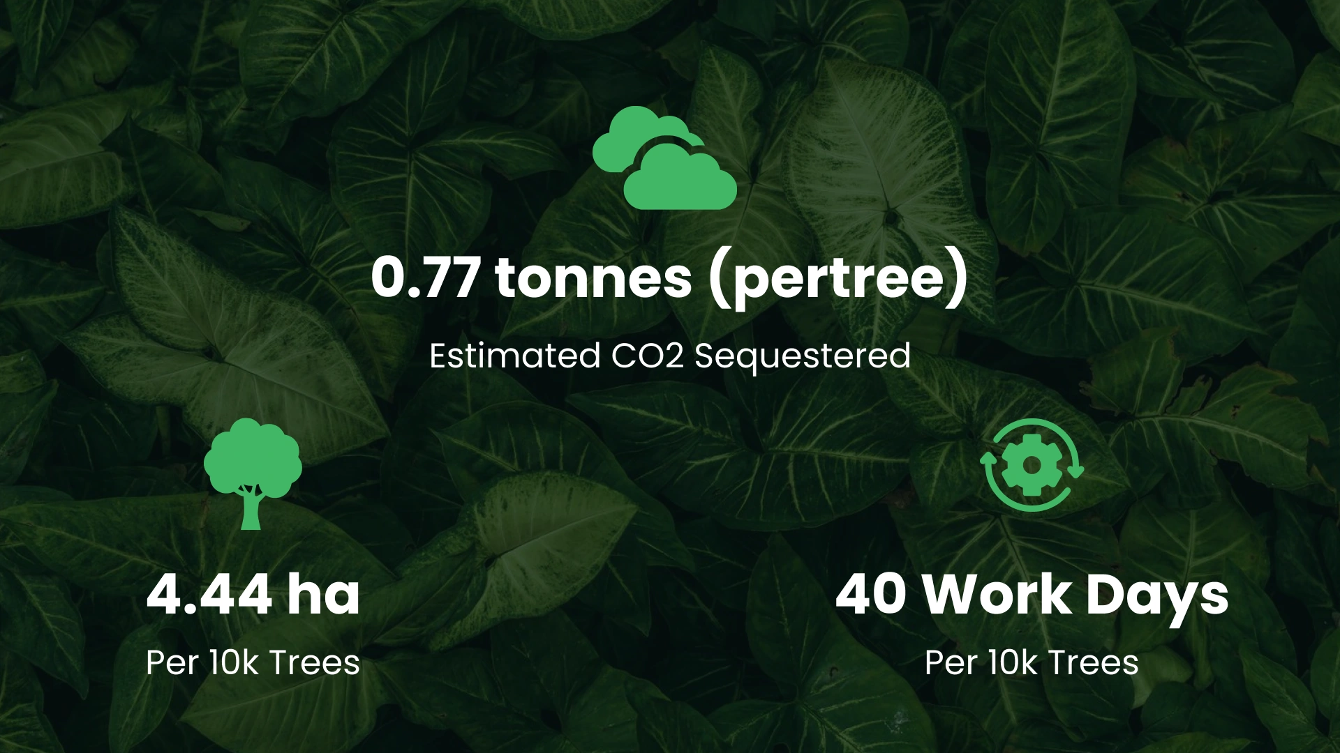 How Plantd Is Turning Restoration Into Biodiversity Recovery