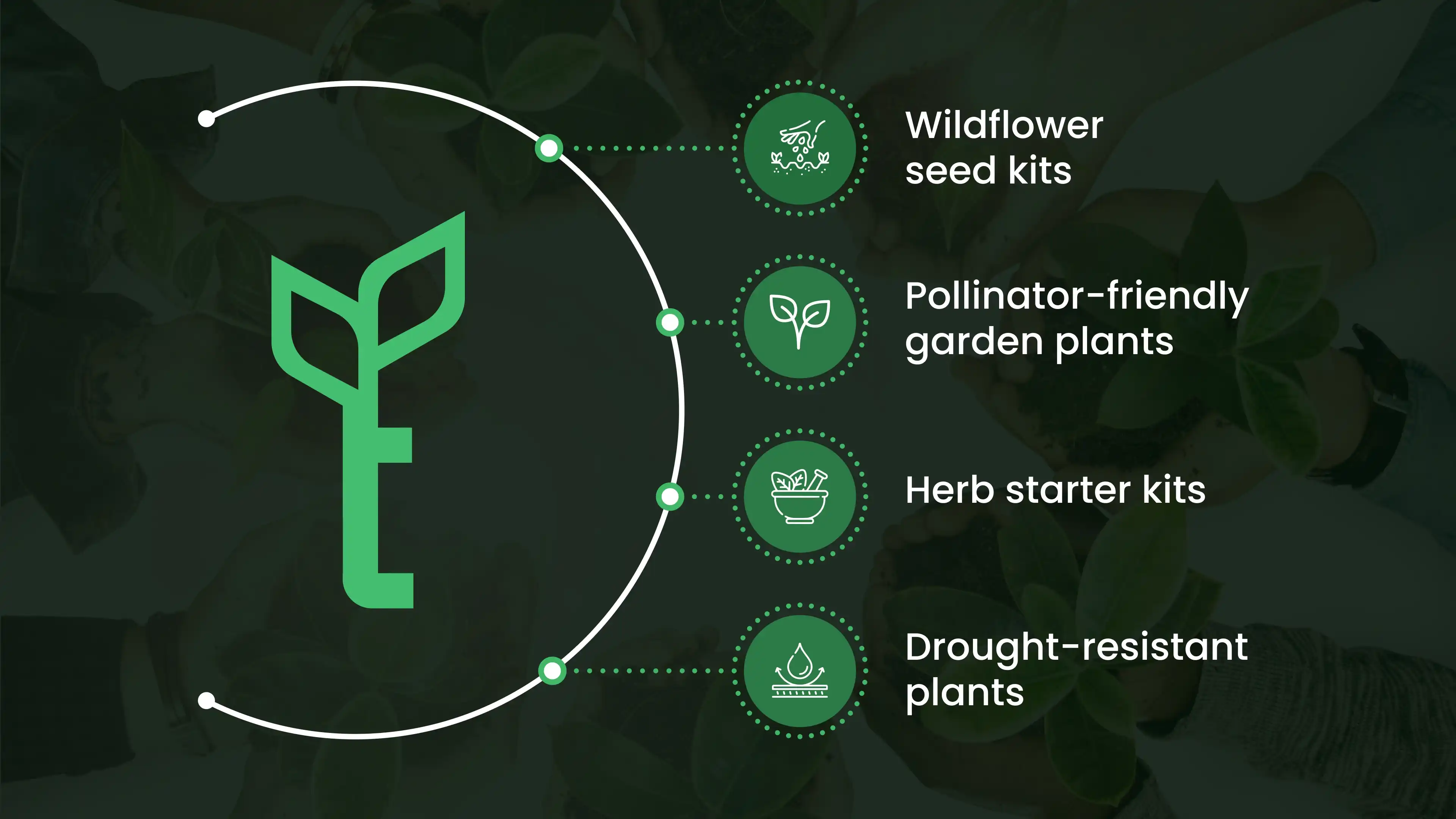 Native Plant Sale