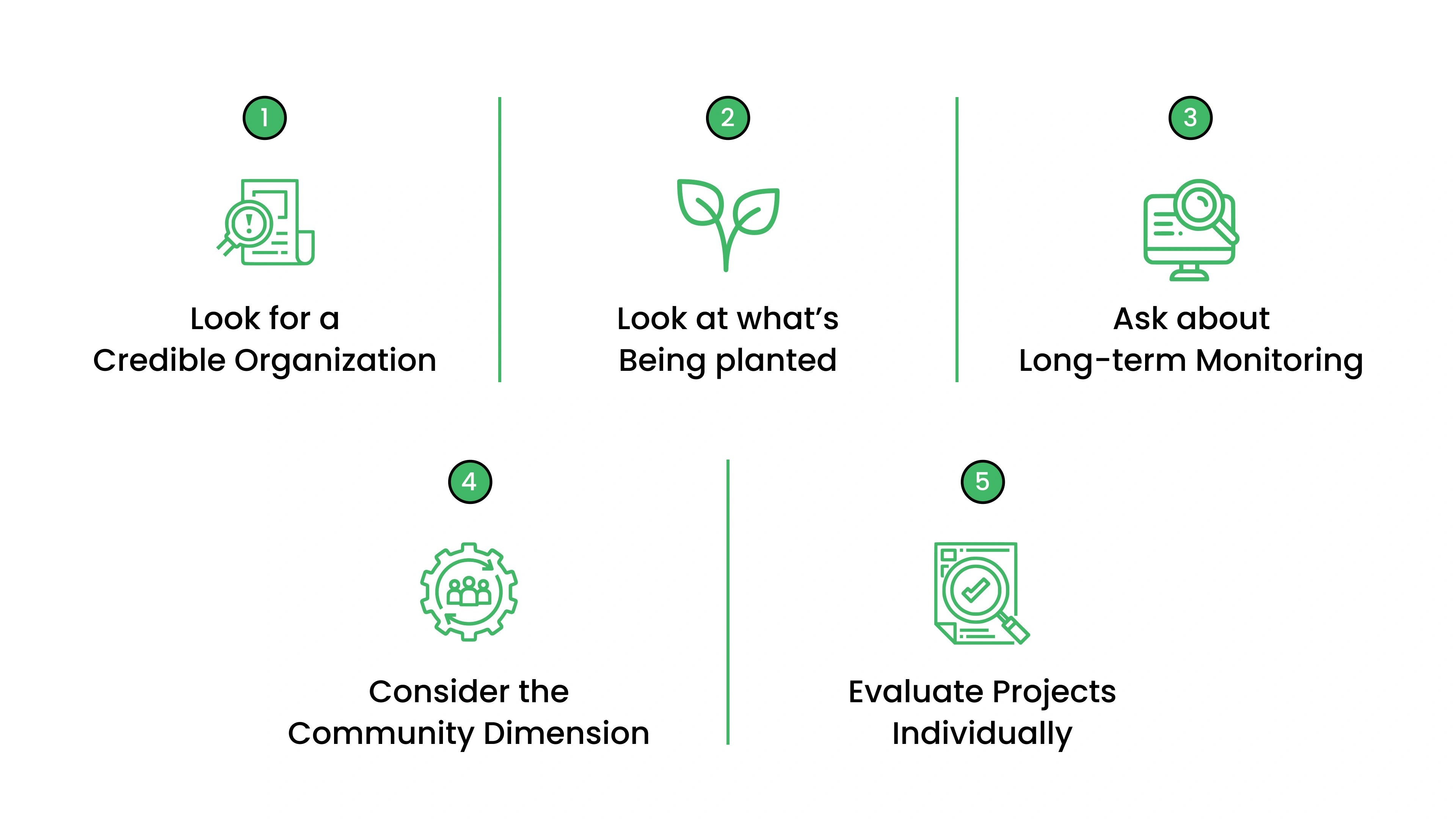How to Choose a Tree Planting Program Worth Supporting