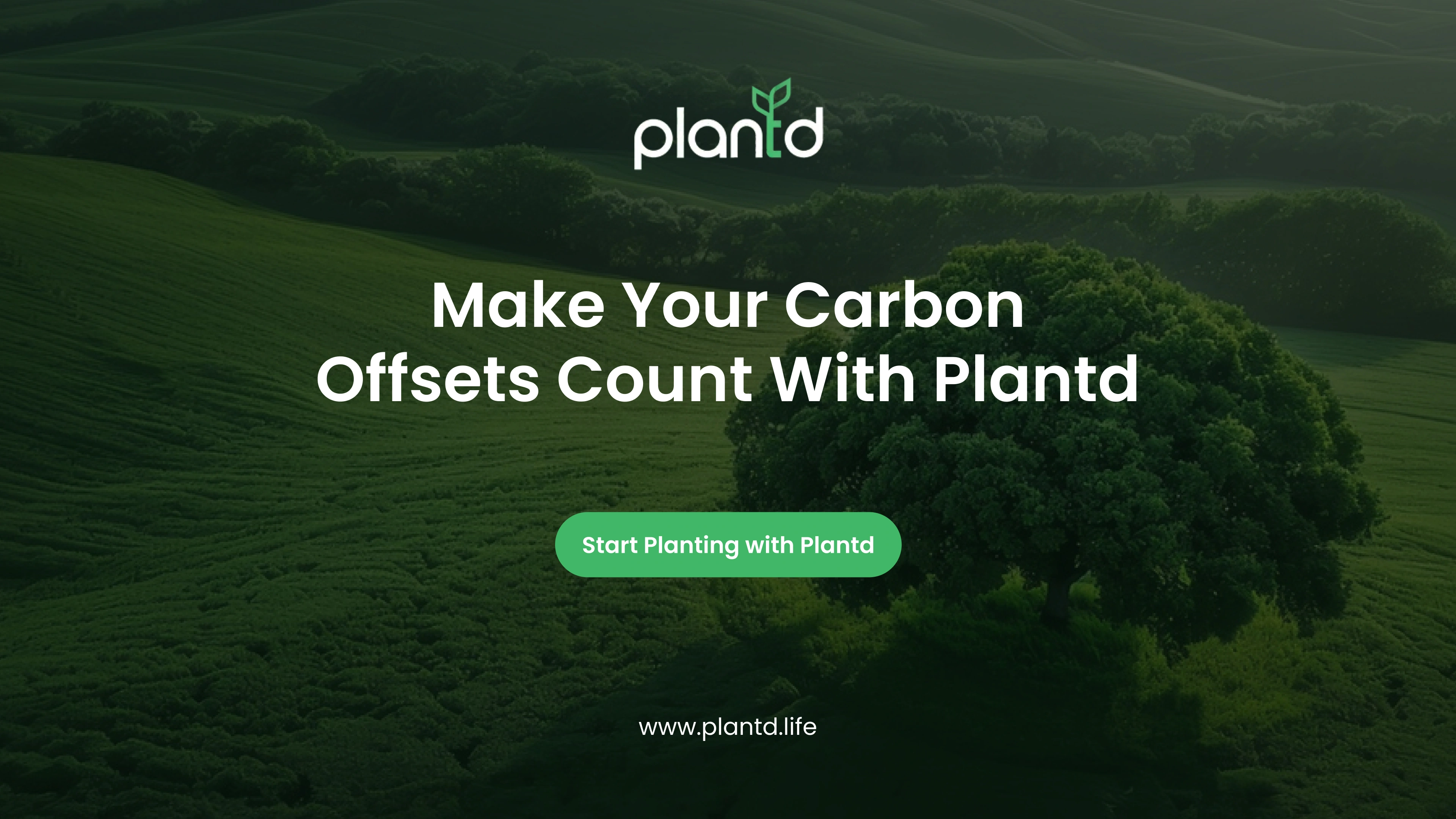 Make Your Carbon Offsets Count With Plantd 