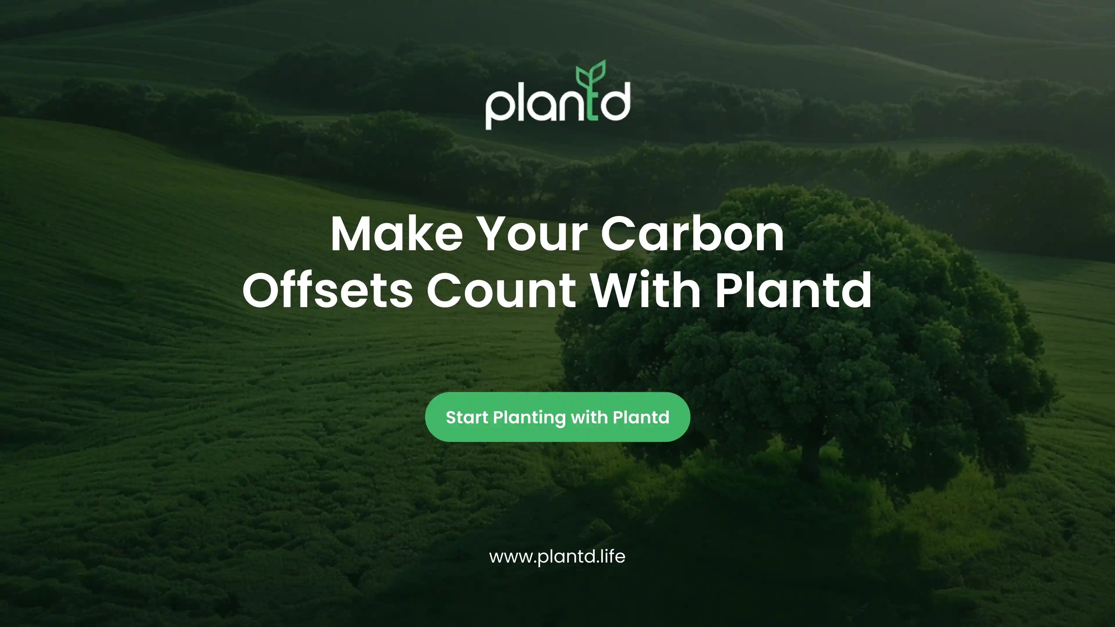 Make Your Carbon Offsets Count With Plantd