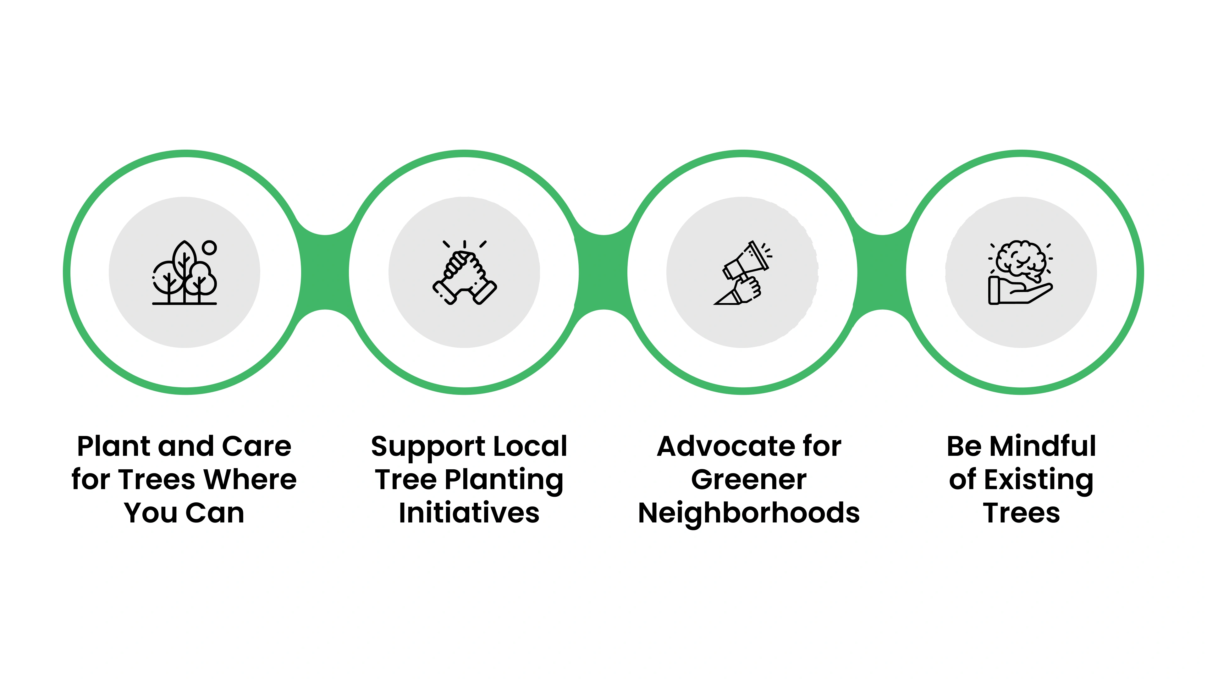How You Can Contribute to Urban Forestry