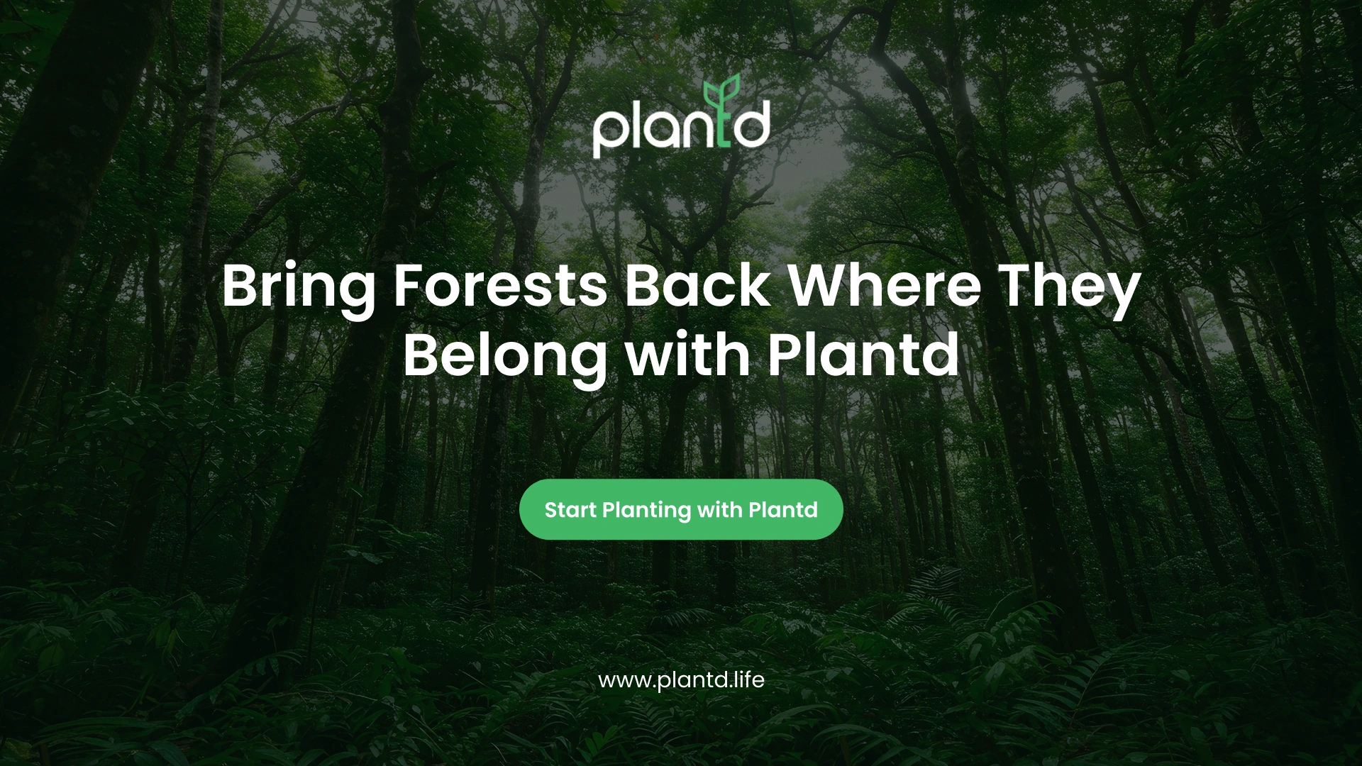 Bring Forests Back Where They Belong with Plantd