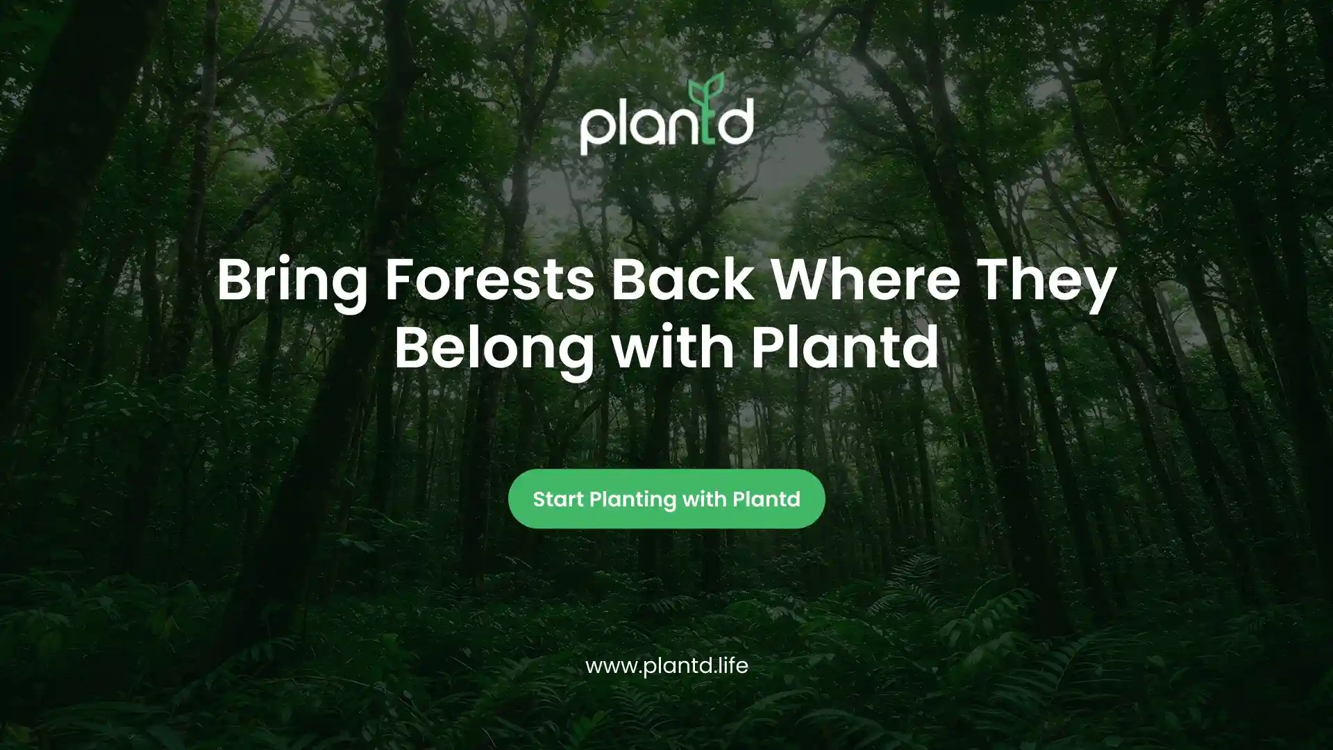 Bring Forests Back Where They Belong with Plantd