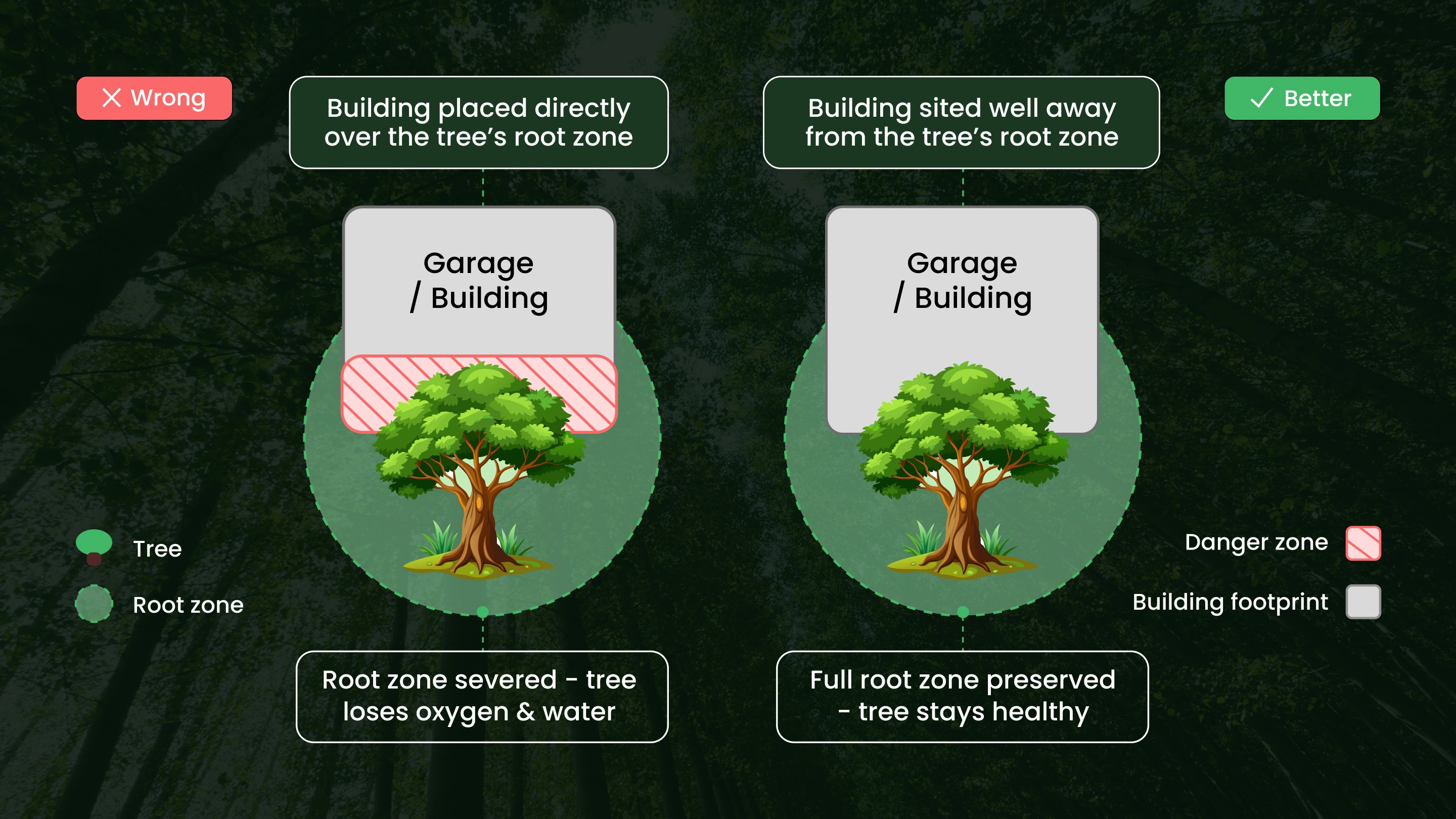 How to Design Around Your Trees Before Construction Begins?