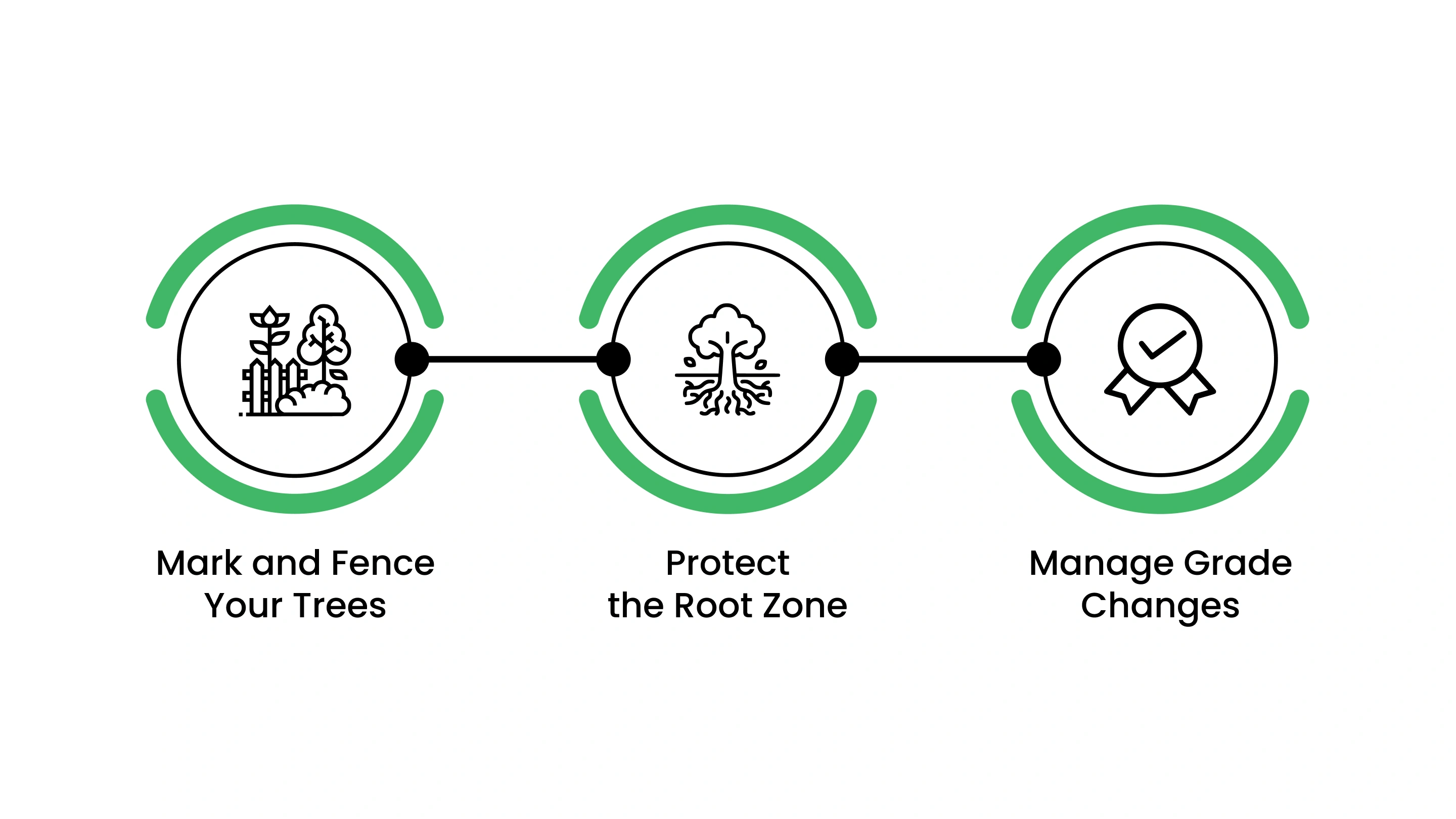 How to Actively Protect Trees During Construction